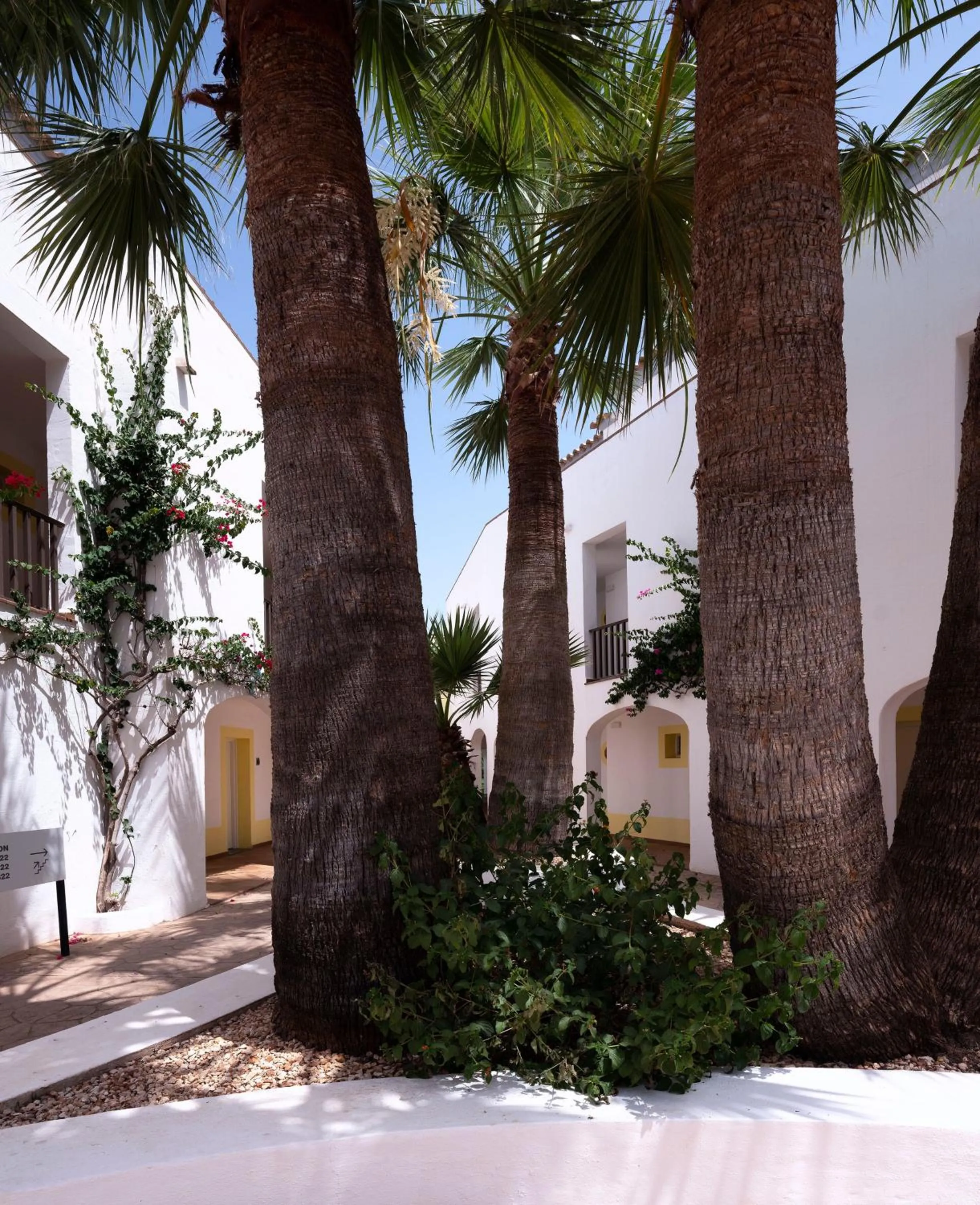 Property building in SOL Falcó Menorca