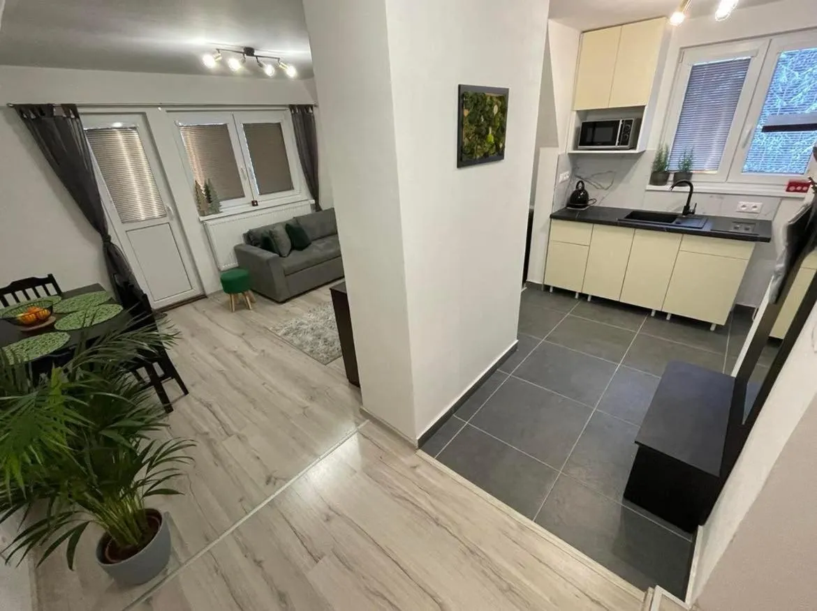 Kitchen or kitchenette in Apartmány Foresta Jasná