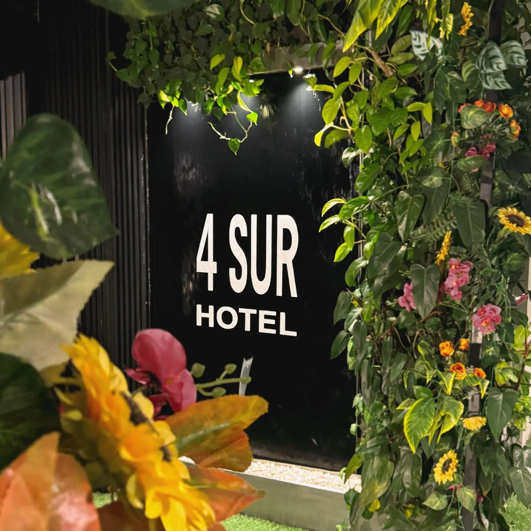 Logo/Certificate/Sign in 4 Sur Hotel