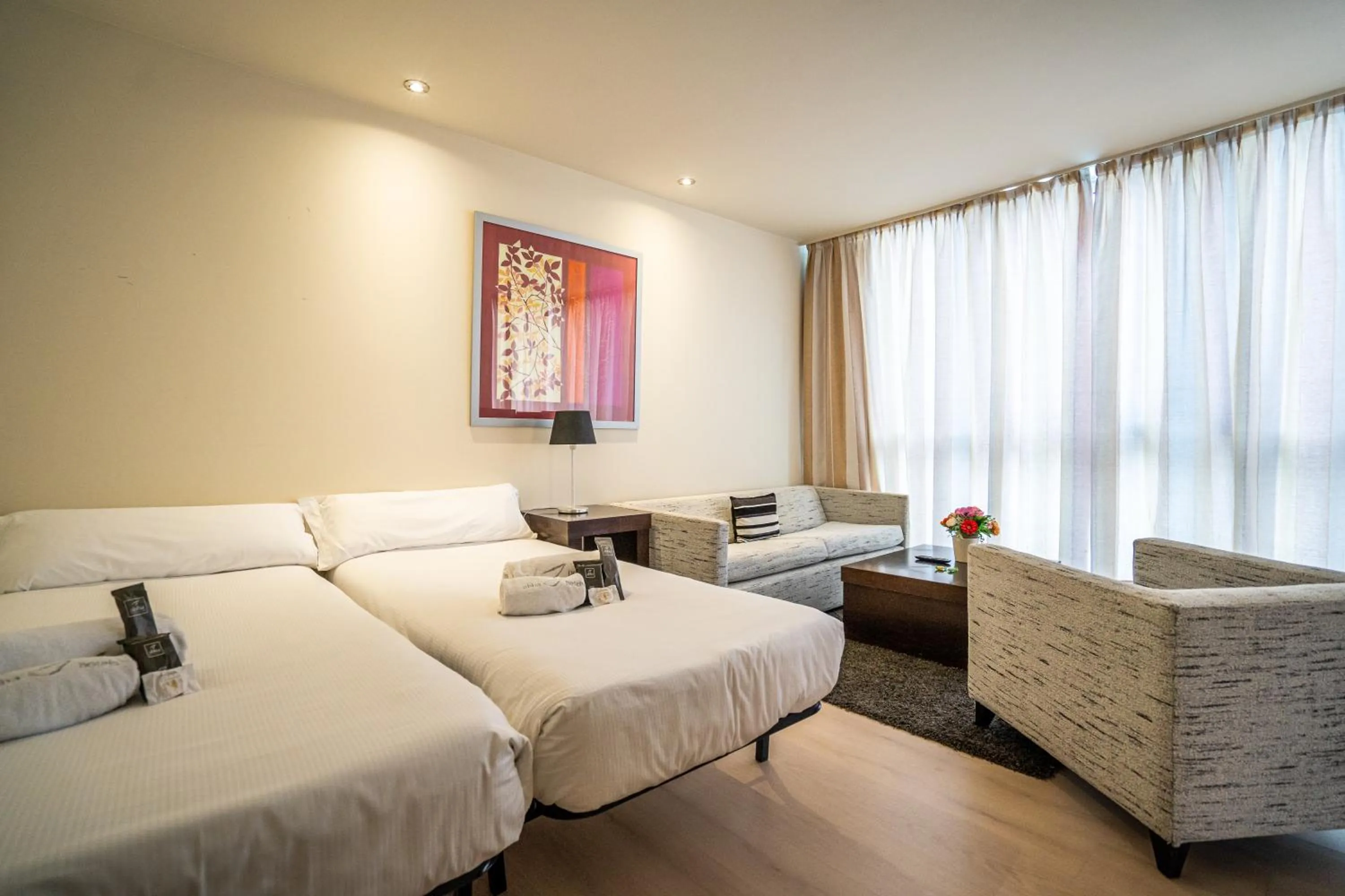 Living room, Bed in Abba Huesca