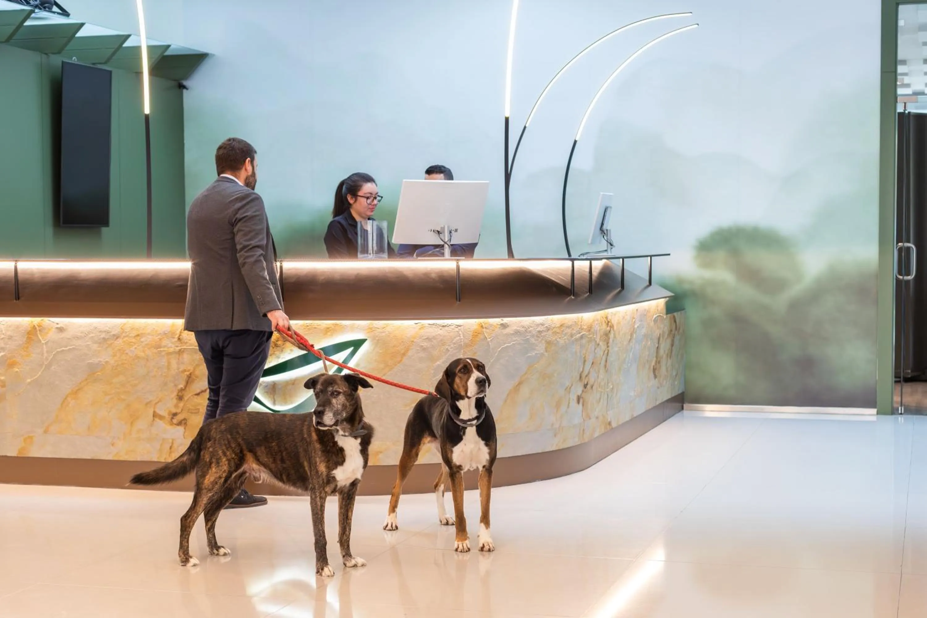 Lobby or reception in Abba Huesca