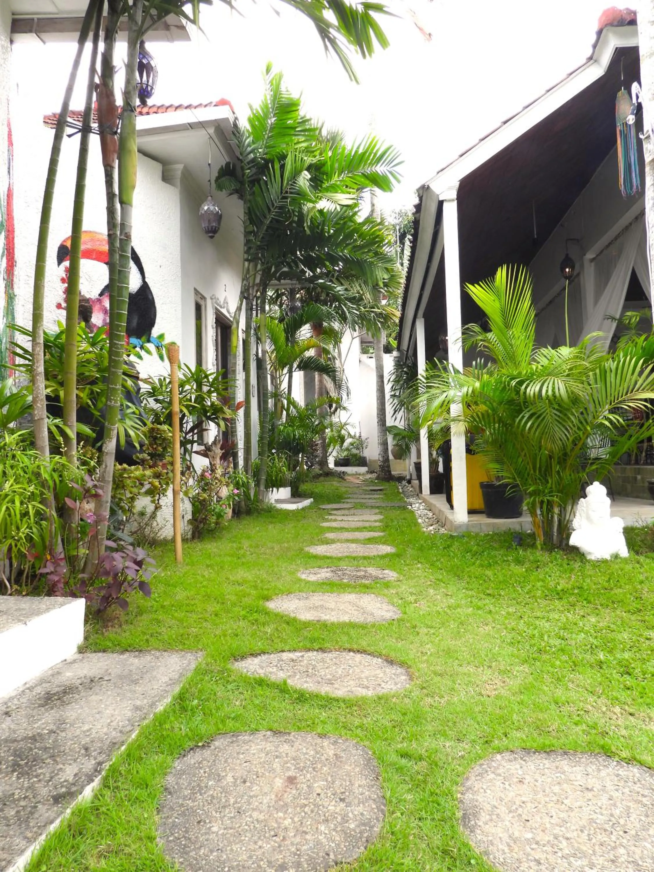 Garden in Surga Homestay