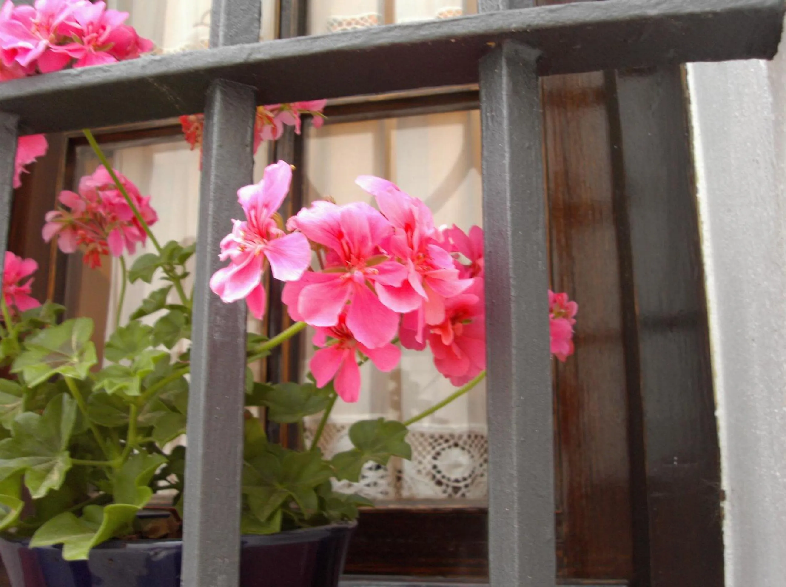 Facade/entrance in Hotel El Convento