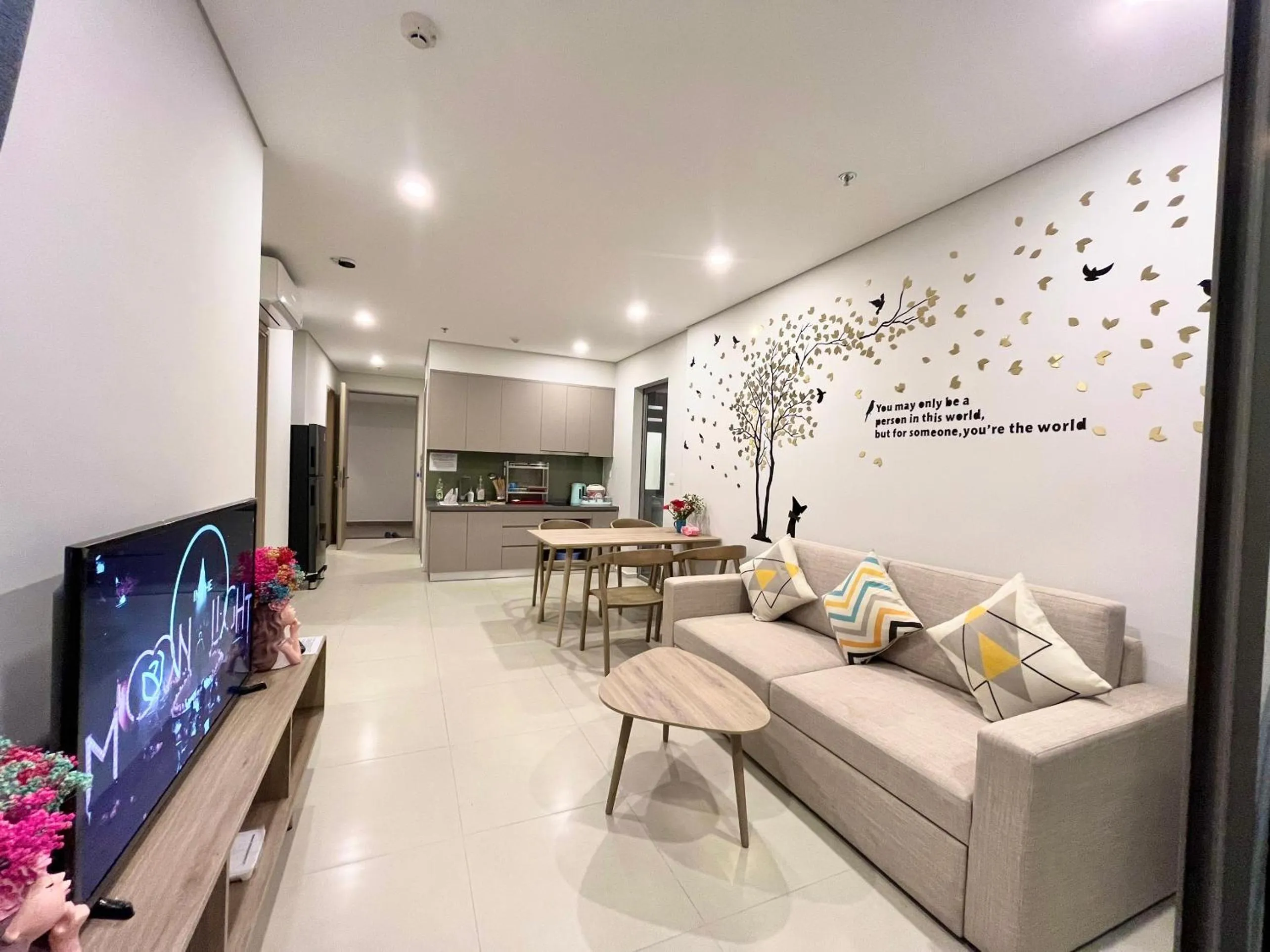 TV and multimedia in The Sóng An Gia villahomestayvungtau