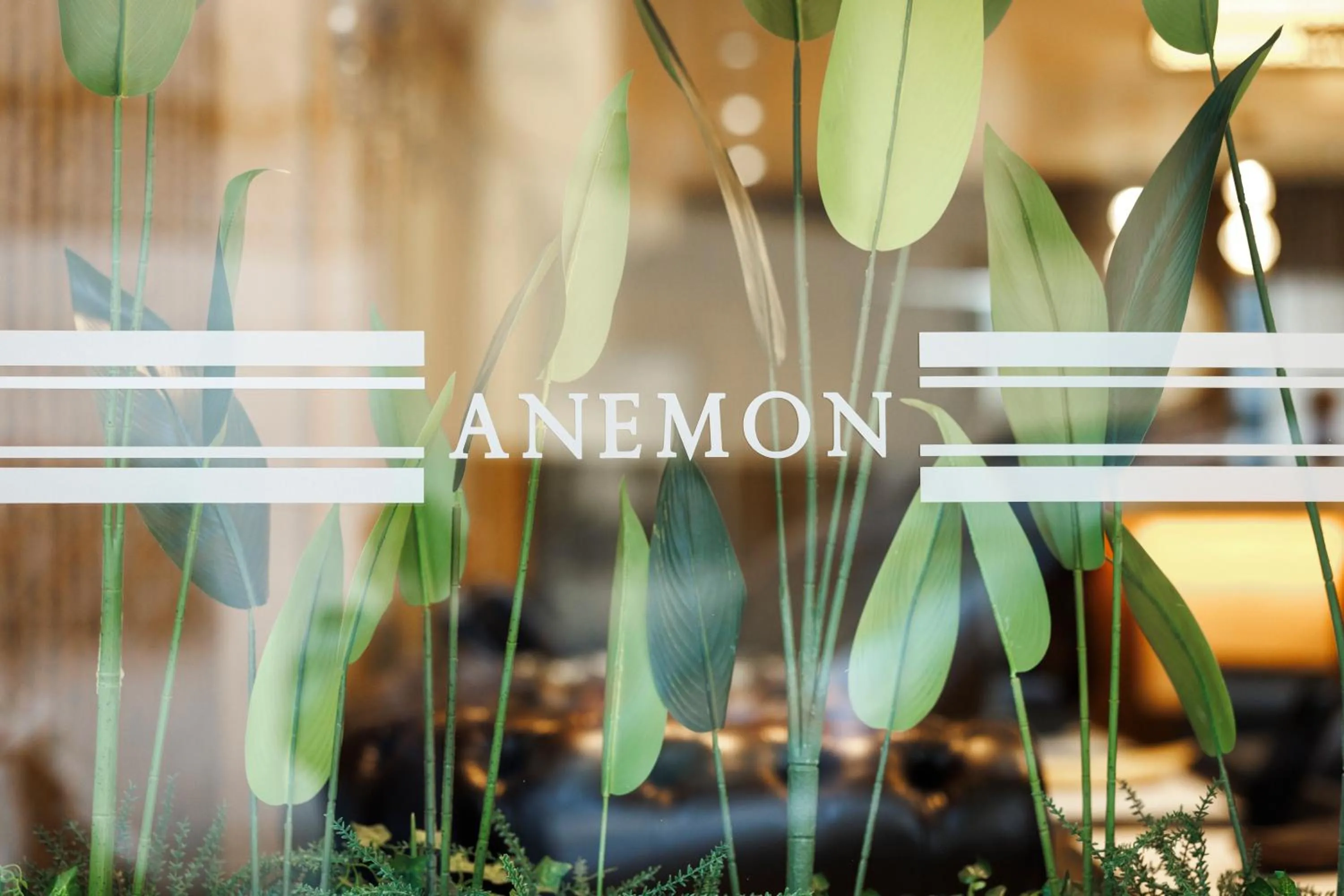 Day in Anemon Kent Uşak Hotel