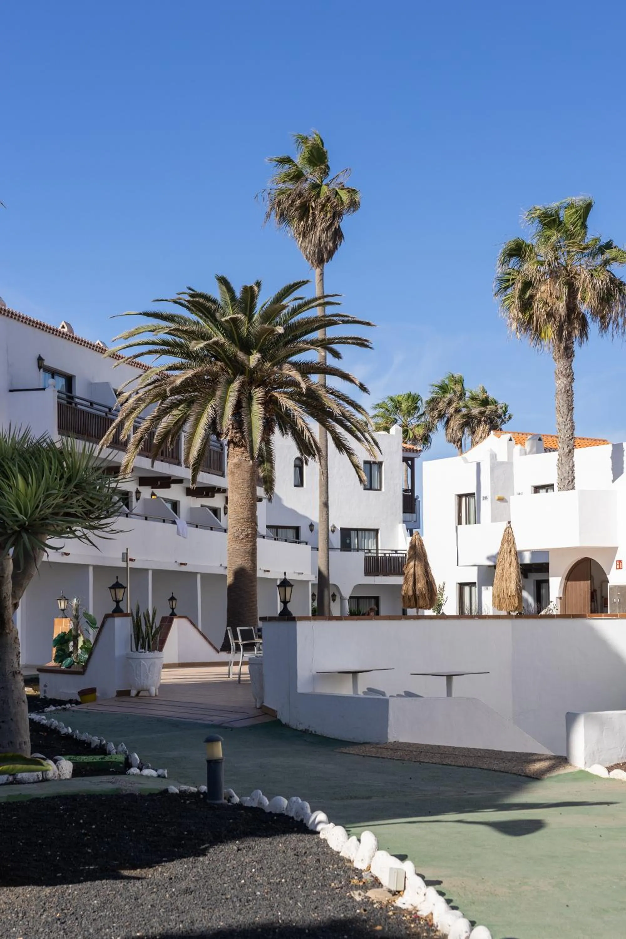 Area and facilities in Apartamentos Hesperia Bristol Playa