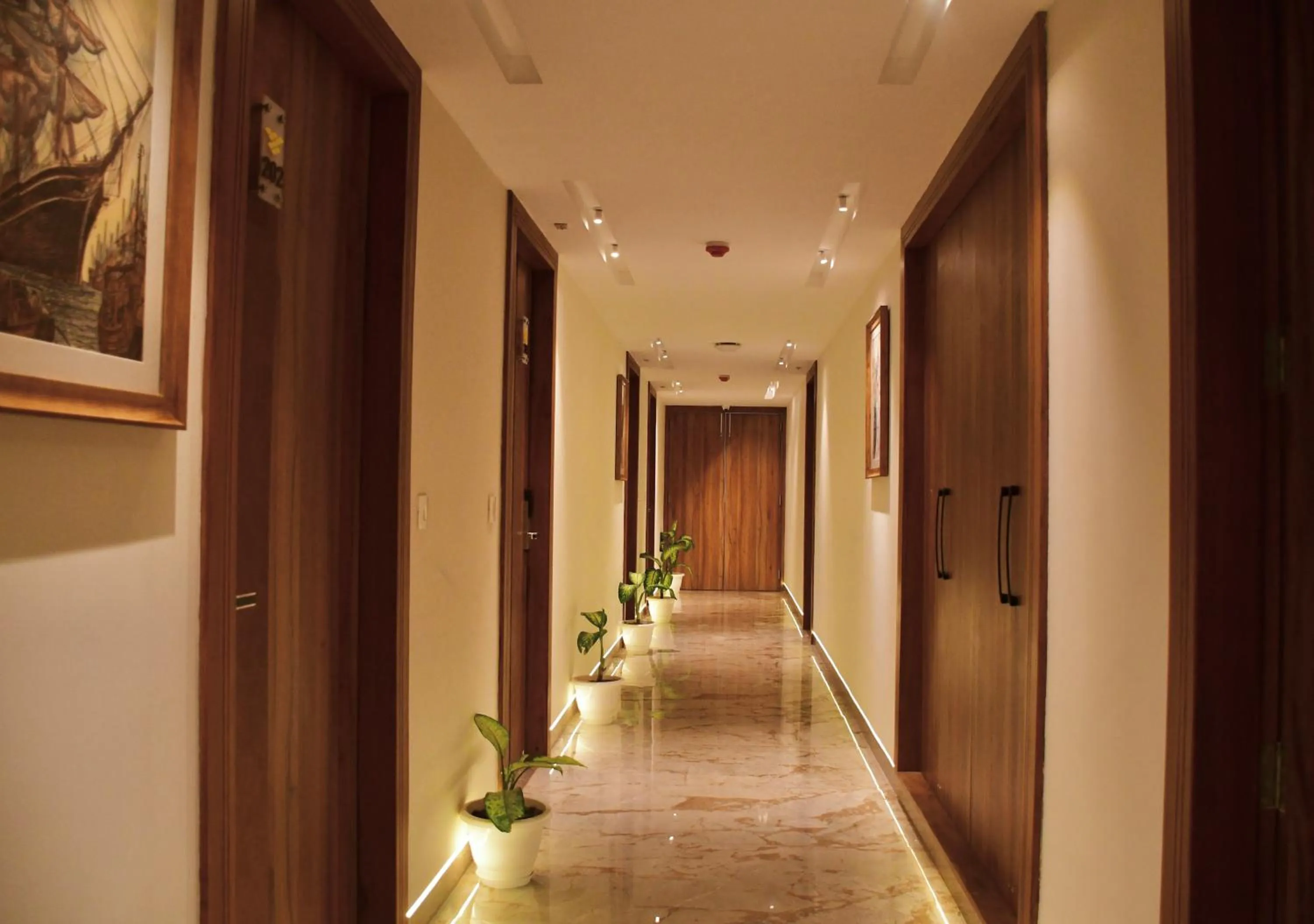 Other in SJ PARADISE