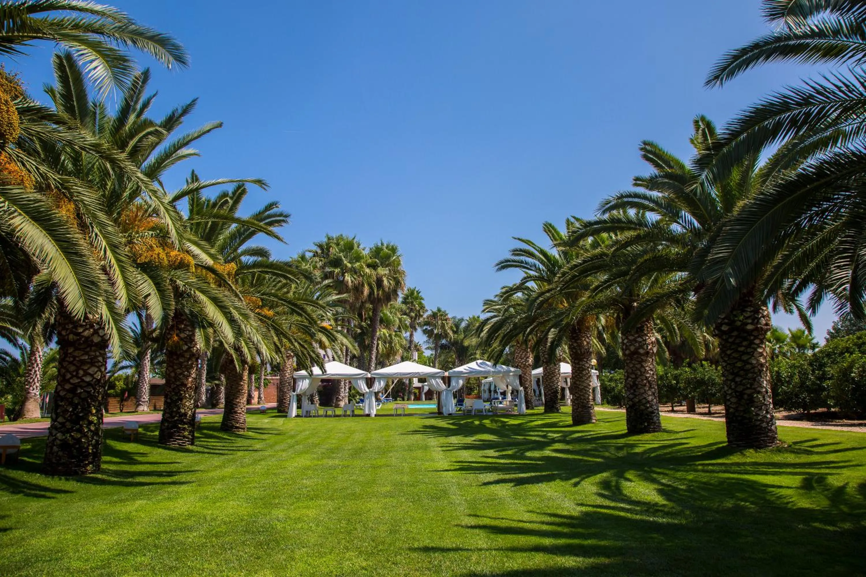 Garden in Tancat de Codorniu