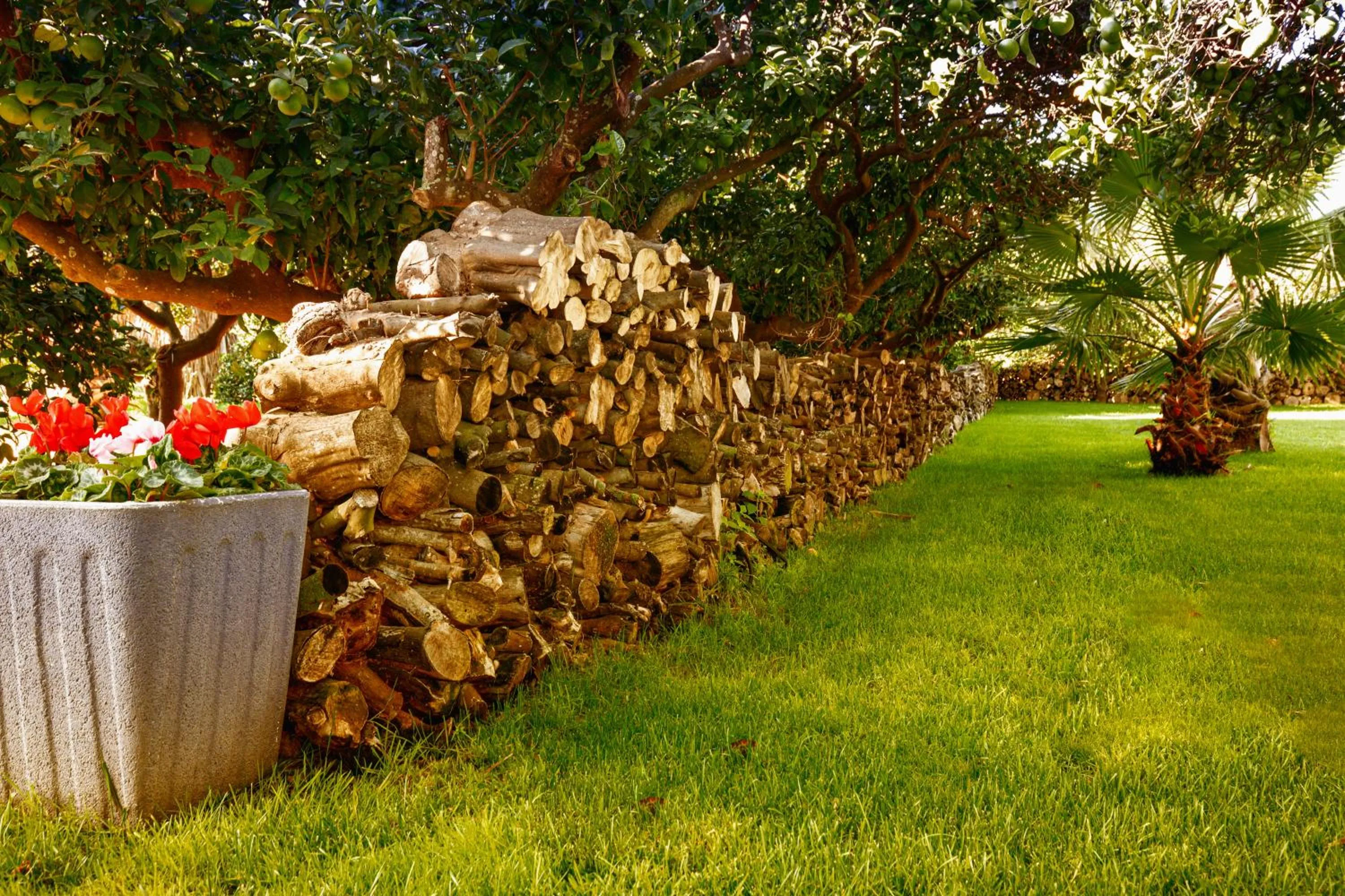 Garden in Tancat de Codorniu