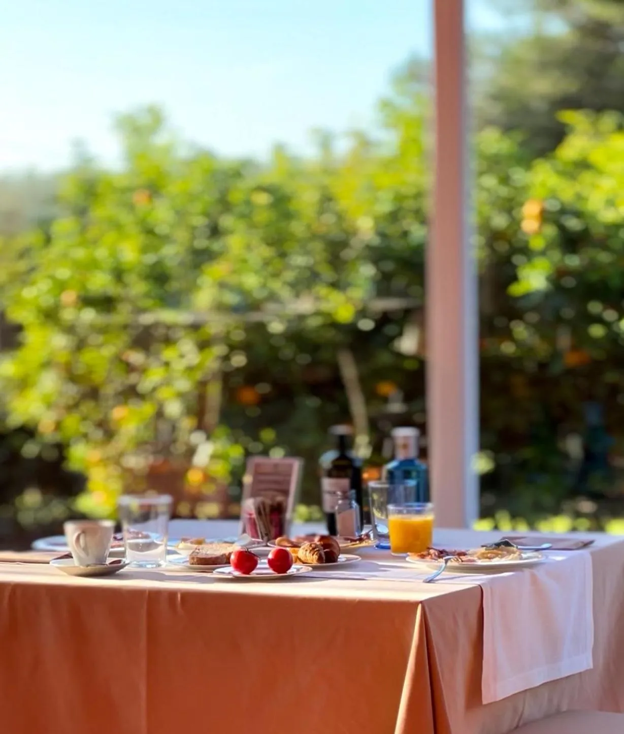 Breakfast in Tancat de Codorniu