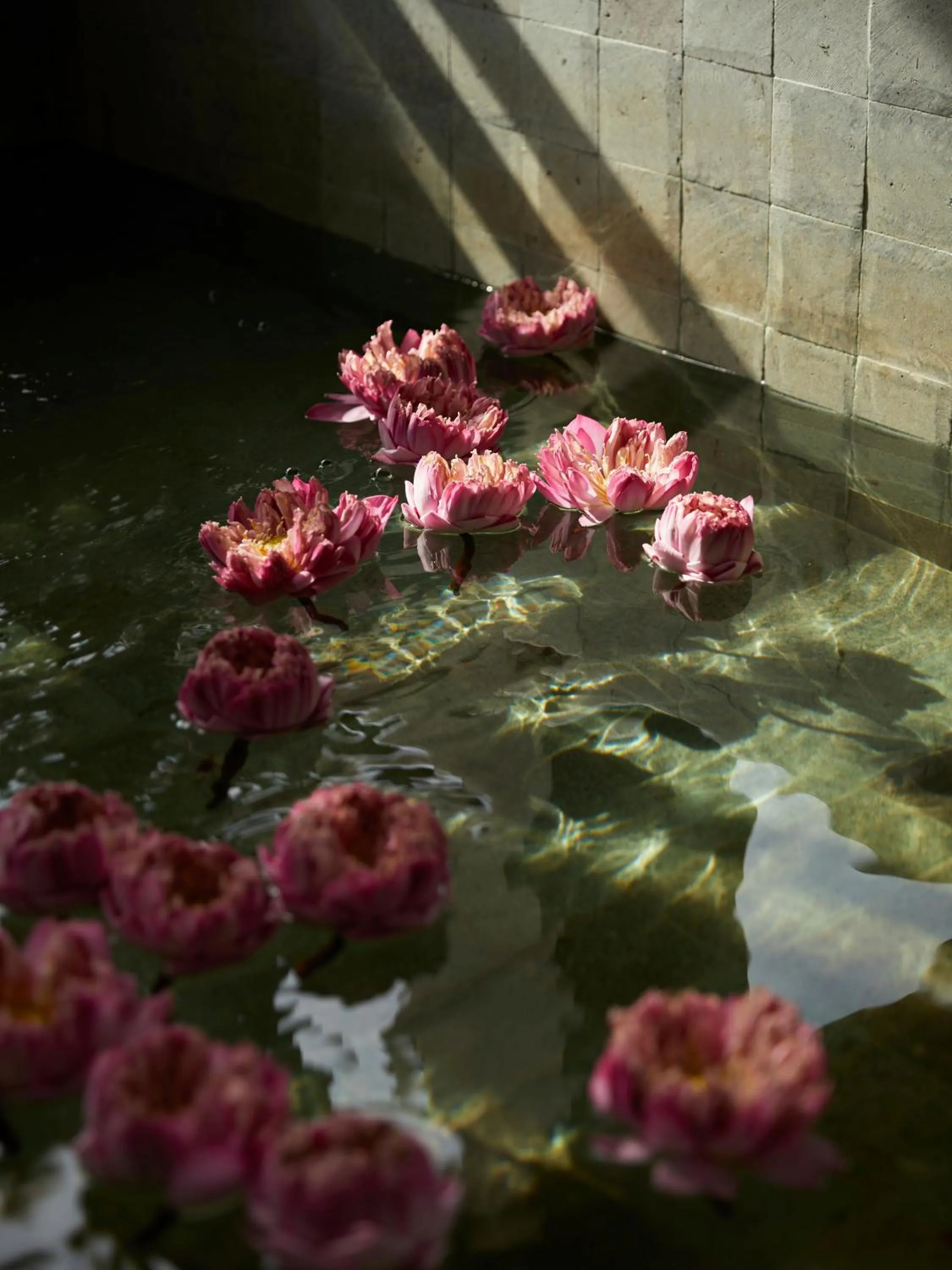 Day in Charras Bhawan Hotel and Residences