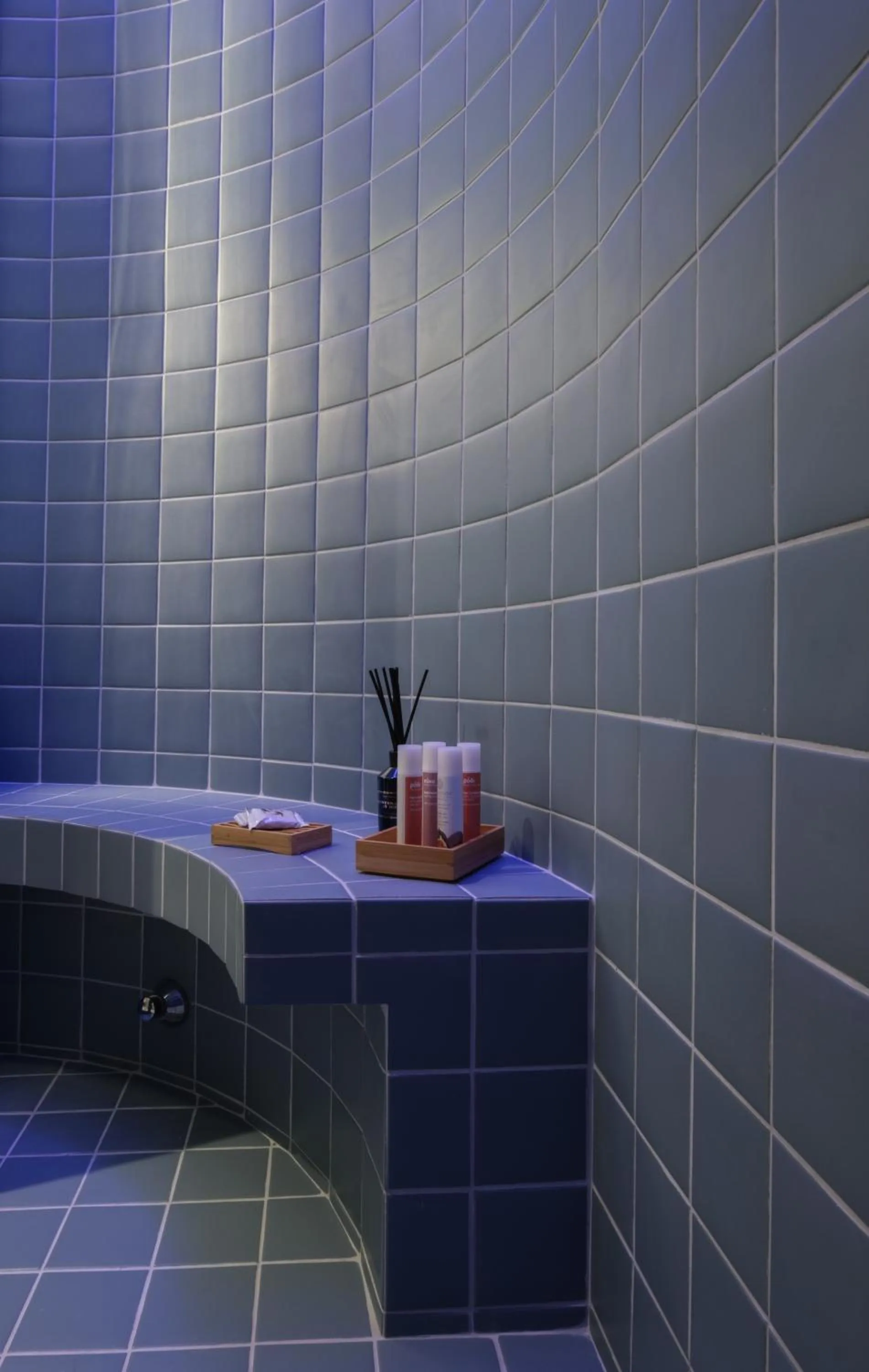 Toilet in K23 Color Suites