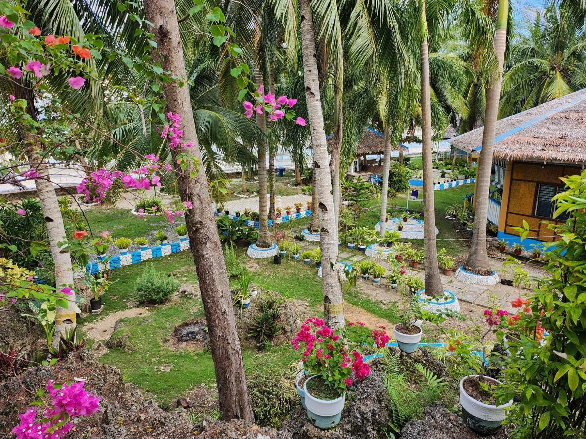 Natural landscape in Islanders Paradise Beach