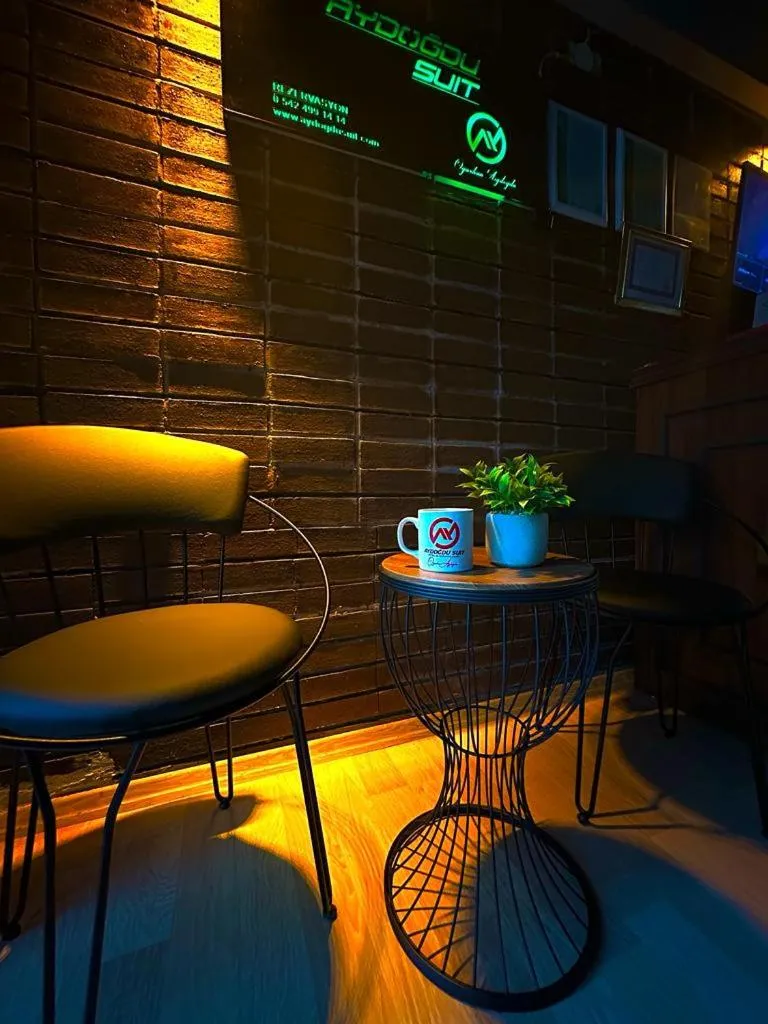 Living room in AYDOĞDU SUİT OTEL