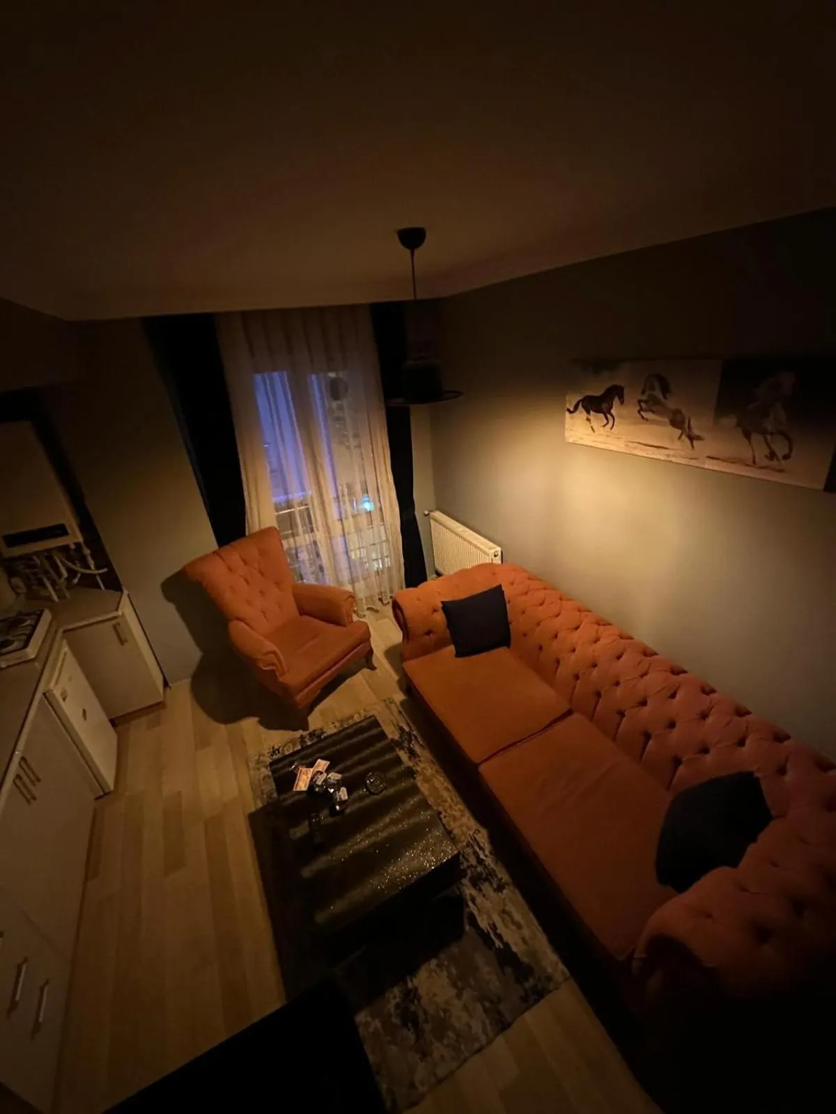 Living room in AYDOĞDU SUİT OTEL