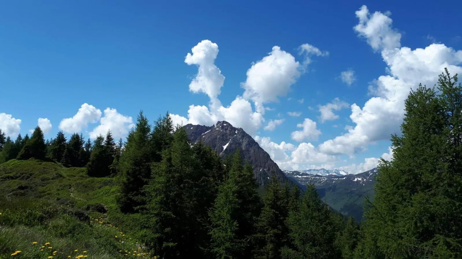 Mountain view in Ferienhaus Willms am Gaisberg