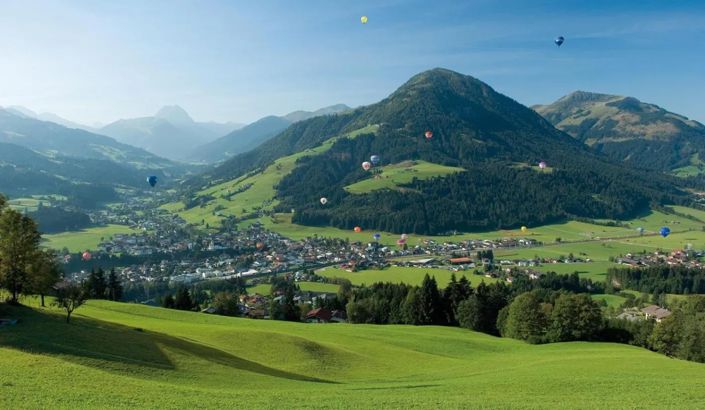 Mountain view in Ferienhaus Willms am Gaisberg