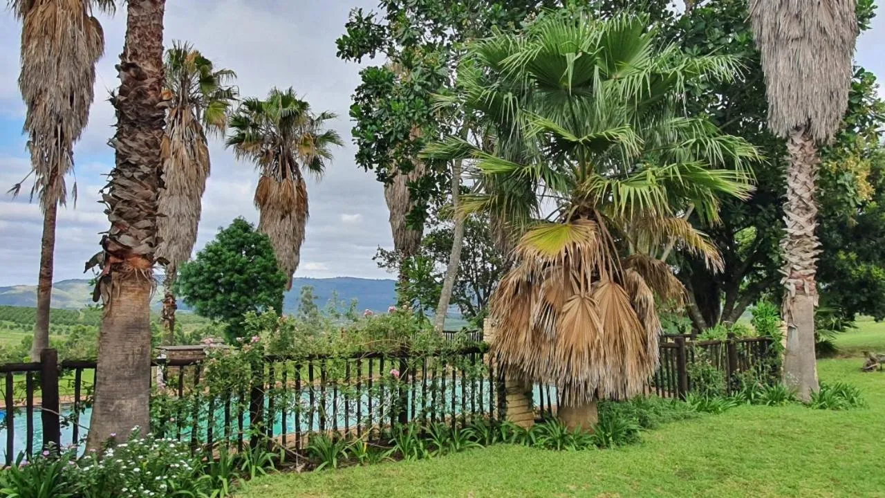 Garden in KatiKati Eco Lodge