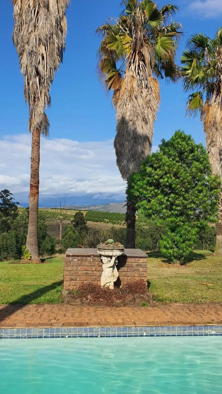 Garden in KatiKati Eco Lodge
