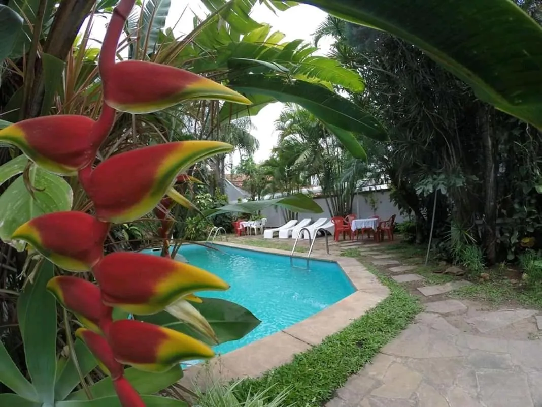 Garden in Hotel Portal del Sol