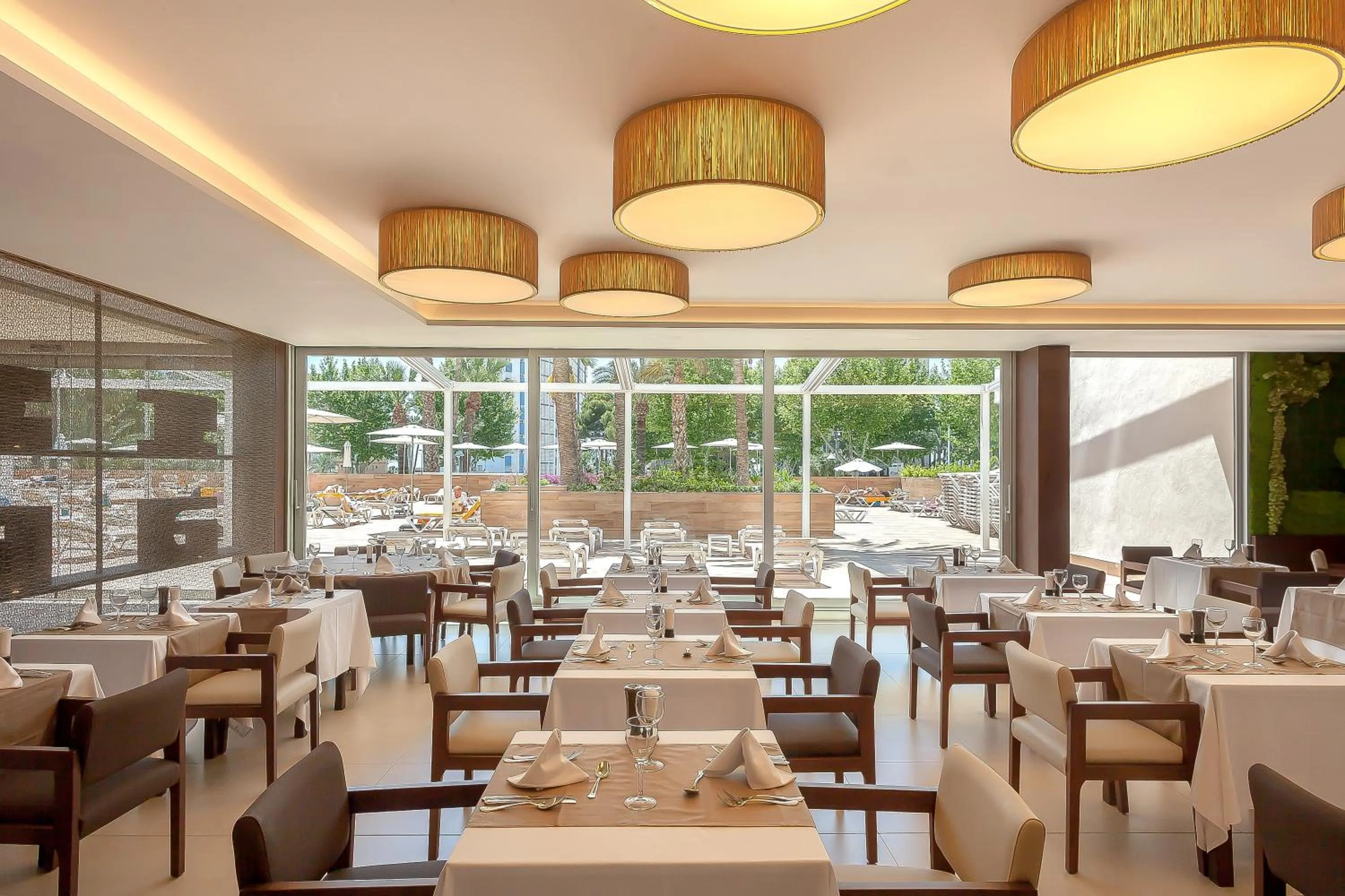 Restaurant/places to eat in Hotel Don Pancho - Designed for Adults