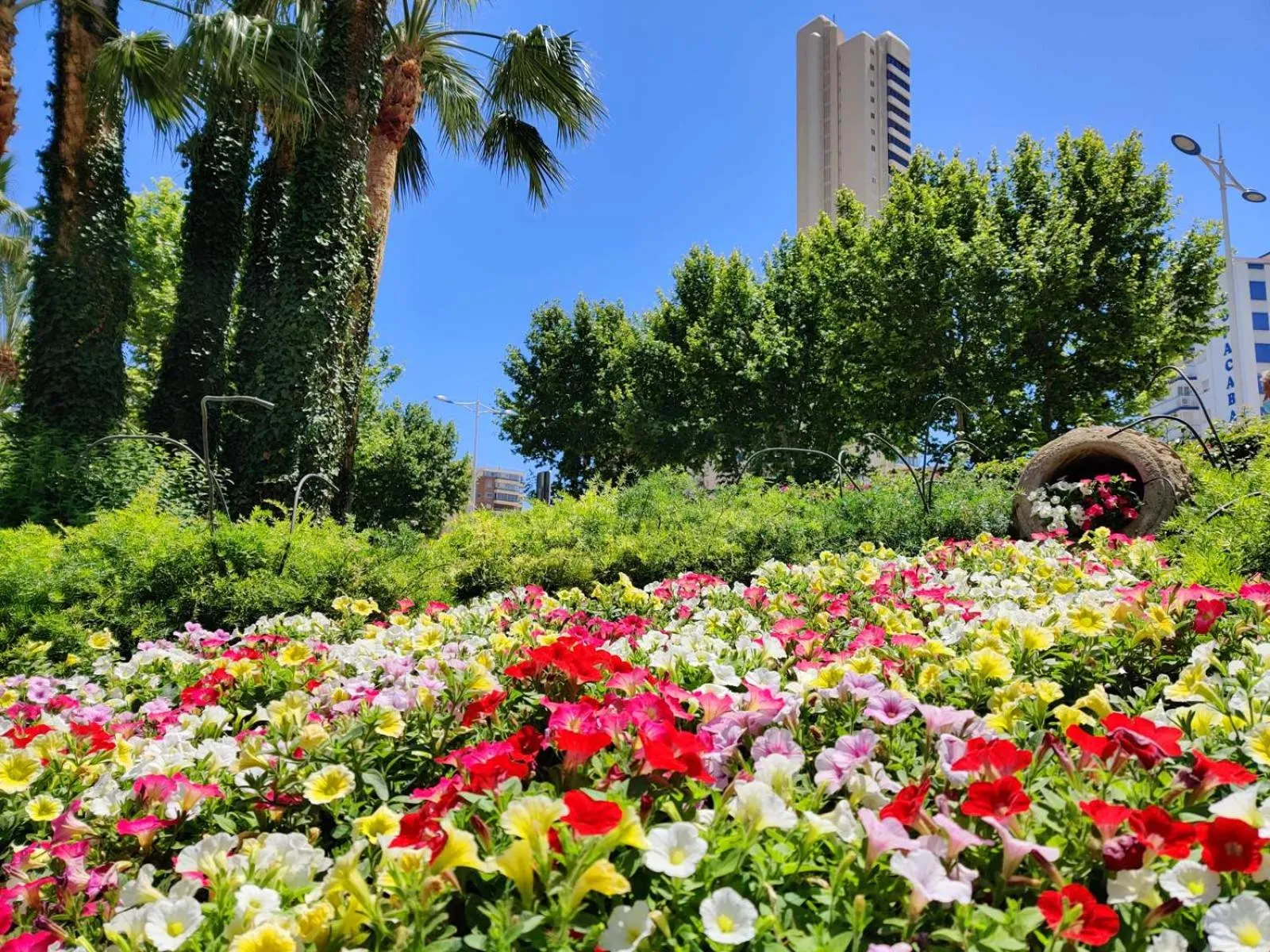 Garden in Hotel Don Pancho - Designed for Adults