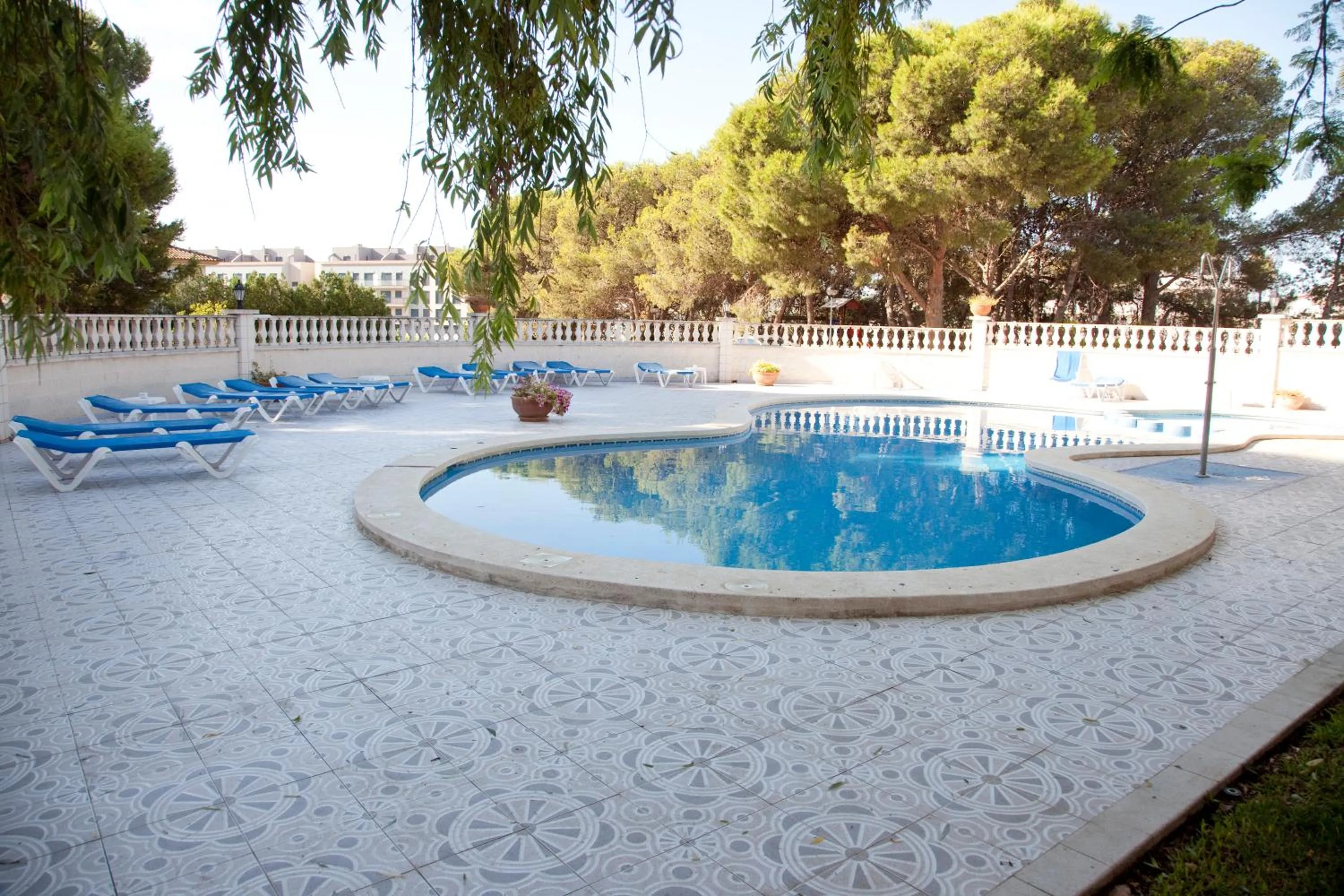 Swimming pool in Hotel Roca