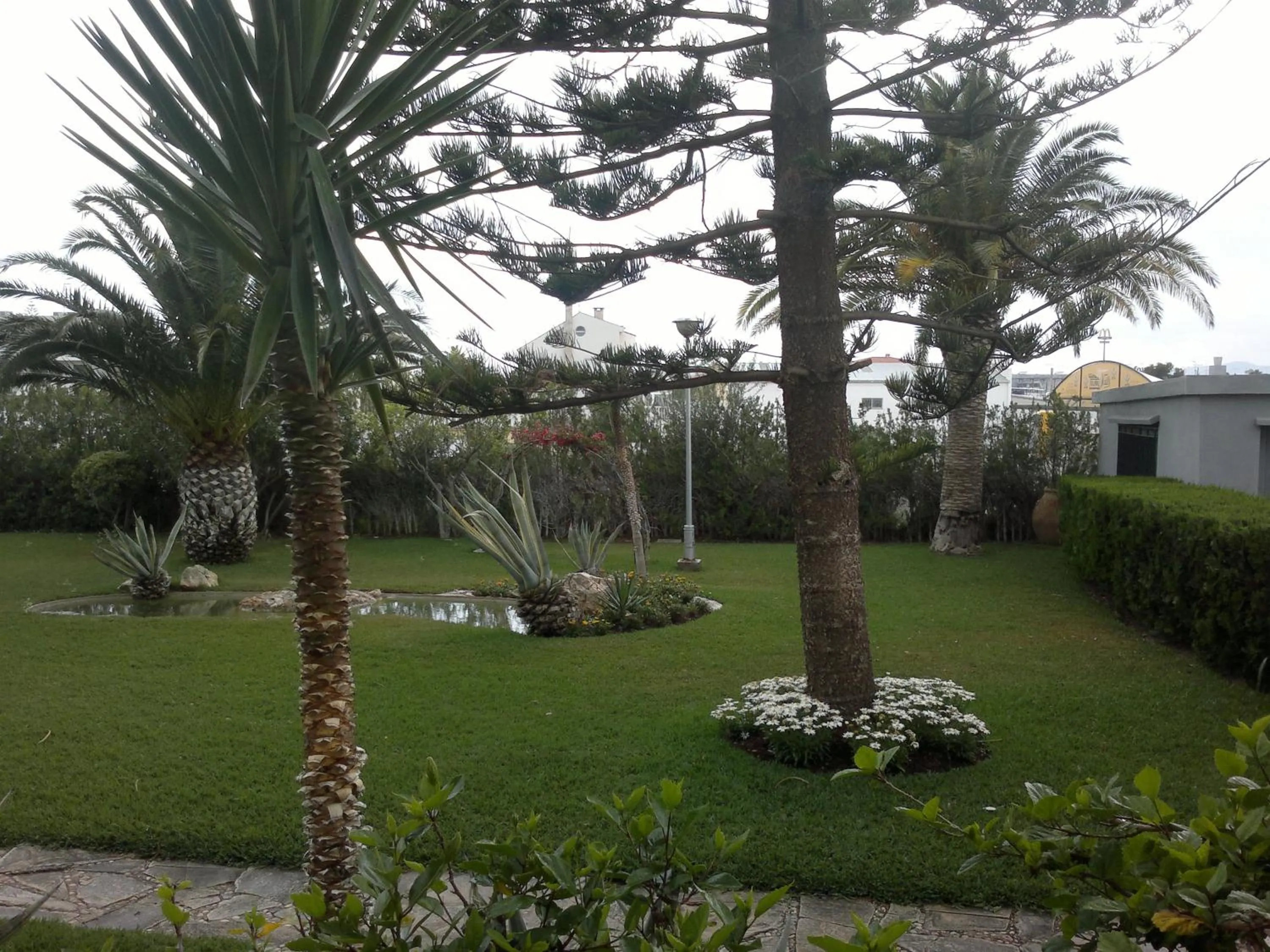 Garden in Hotel Roca
