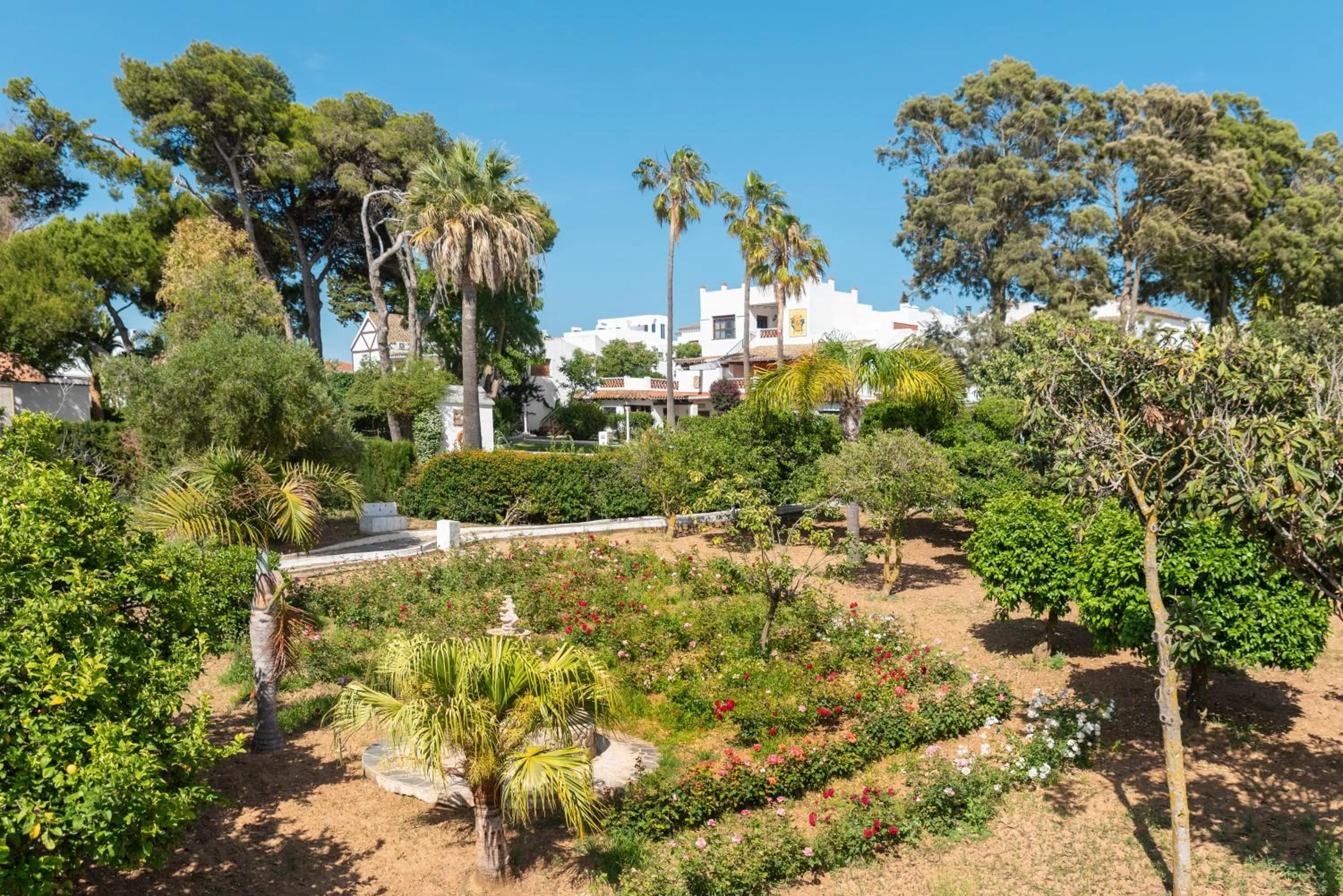 Garden view in Suites Cortijo Fontanilla