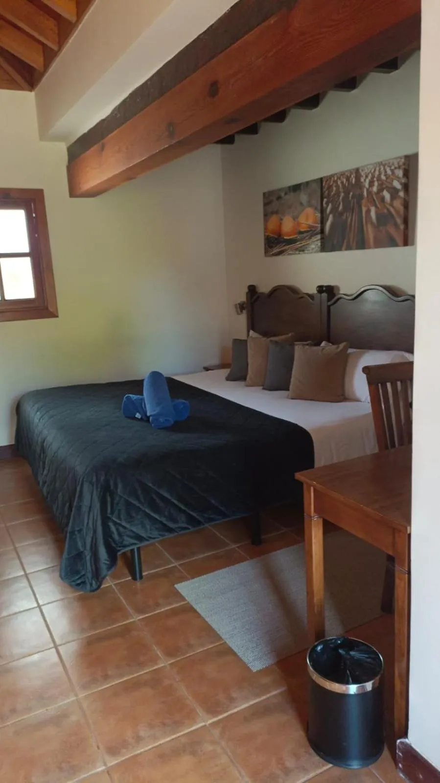 Double Room with Terrace in Hotel Rural Casablanca