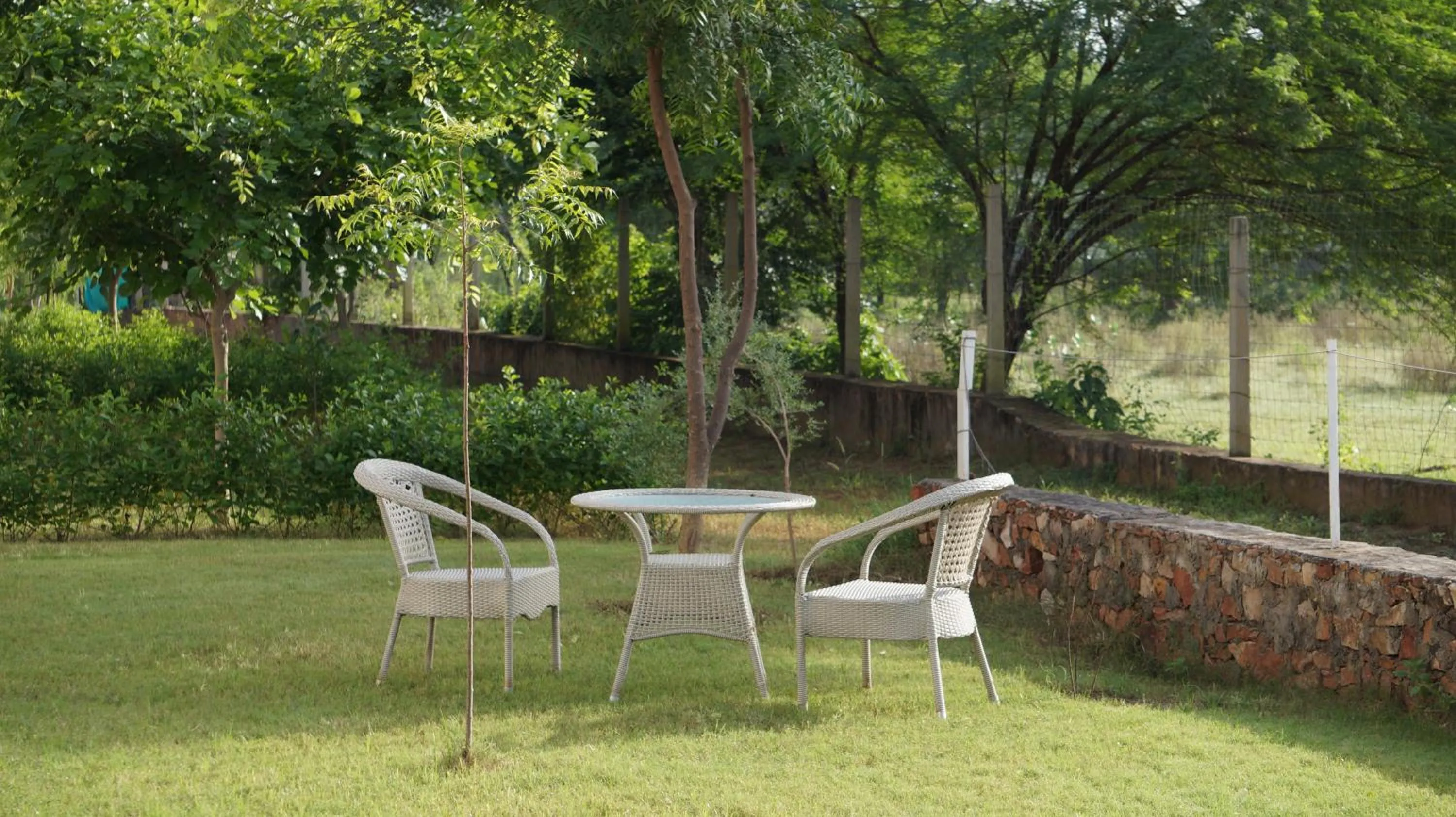 Deluxe King Room in Hotel Wow - Relish in the Wild, Lakeside location, Nearest to Sariska Entry Gate 10KM