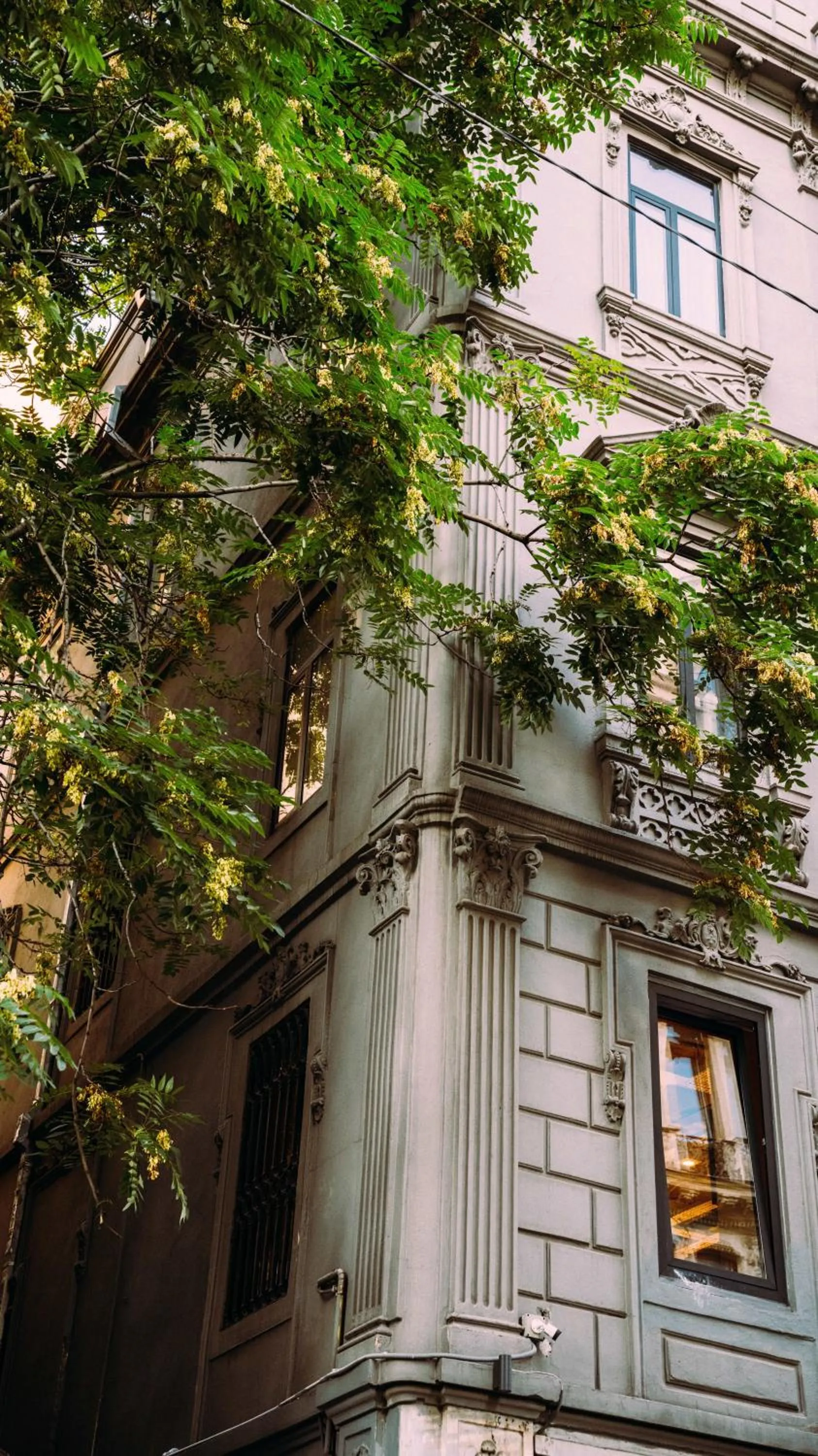 Property building in DeCamondo Residence