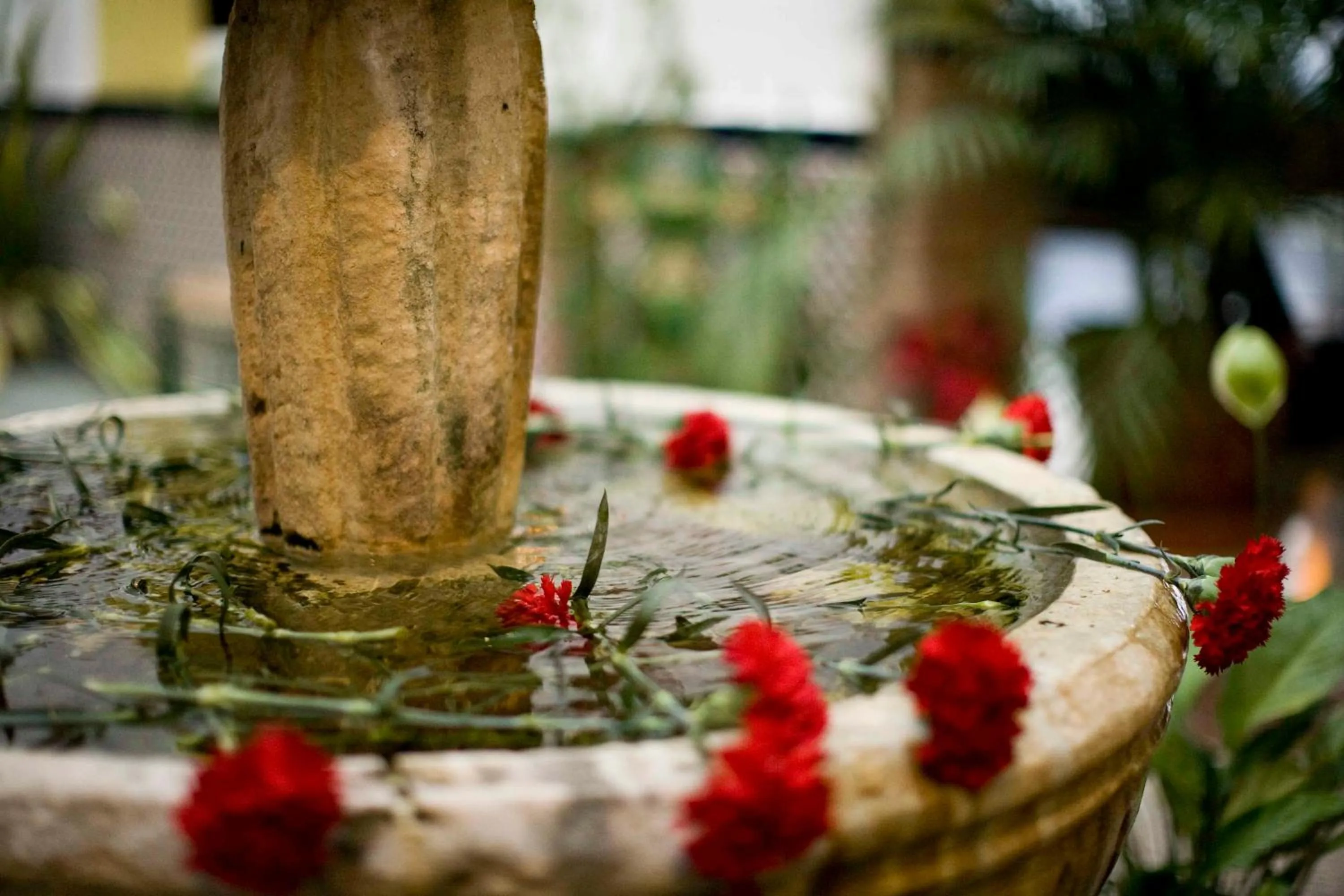 Patio in Hotel Villa Flamenca