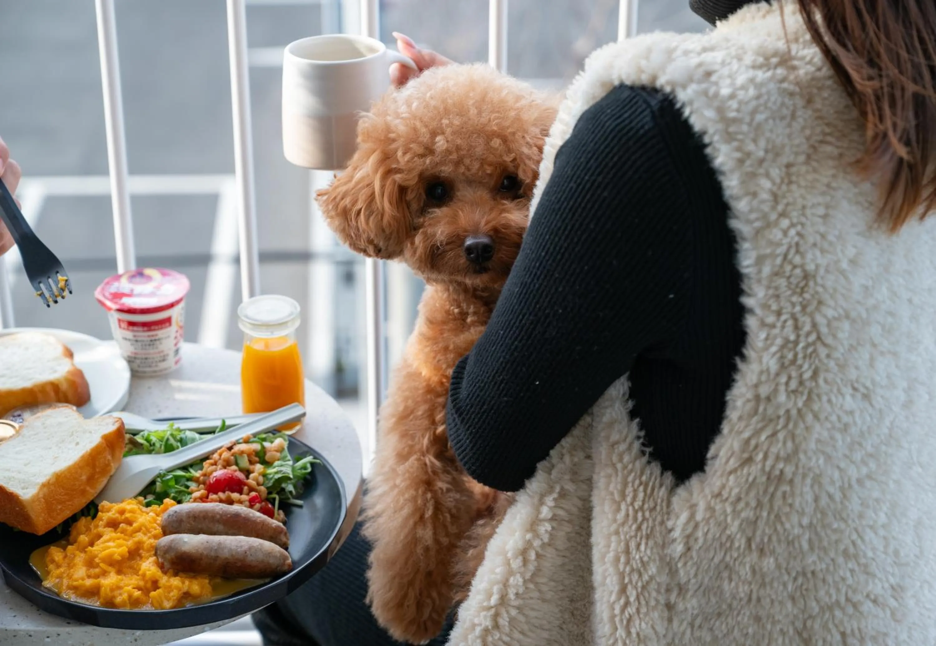 Food in KAMOME SLOW HOTEL the COMPACT