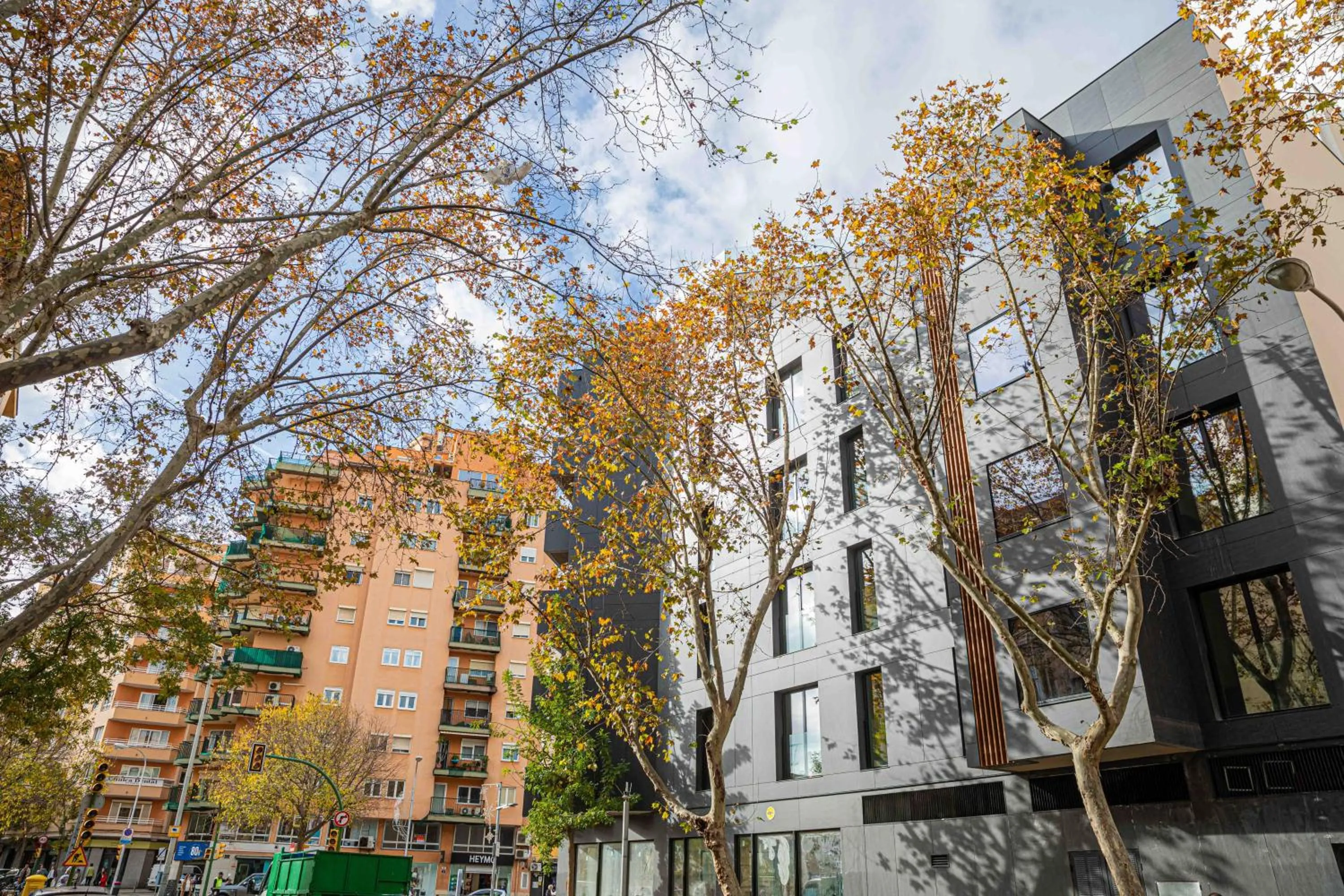 Property building in JS Palma Plaza