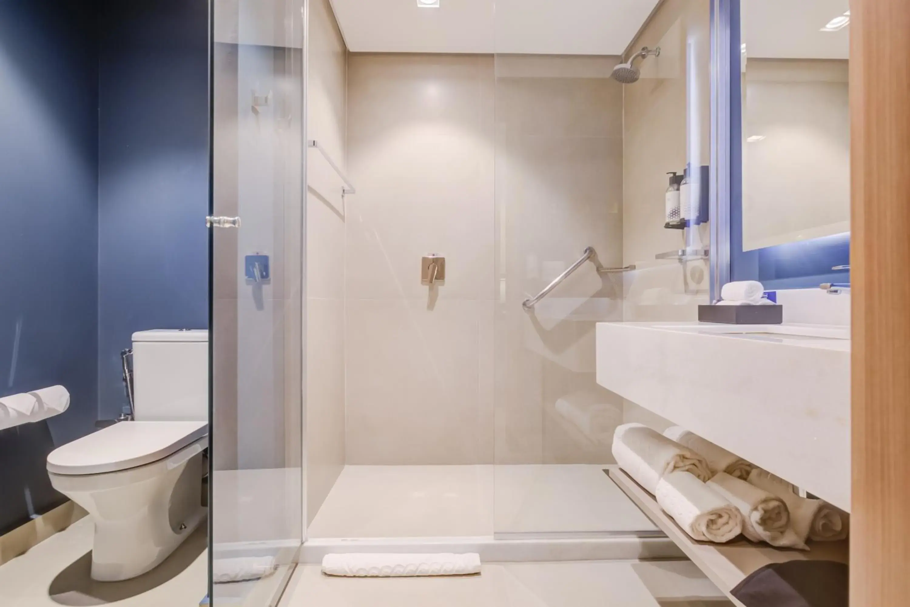 Deluxe King Room in Hilton Garden Inn São José do Rio Preto Deluxe King Room in Hilton Garden Inn São José do Rio Preto