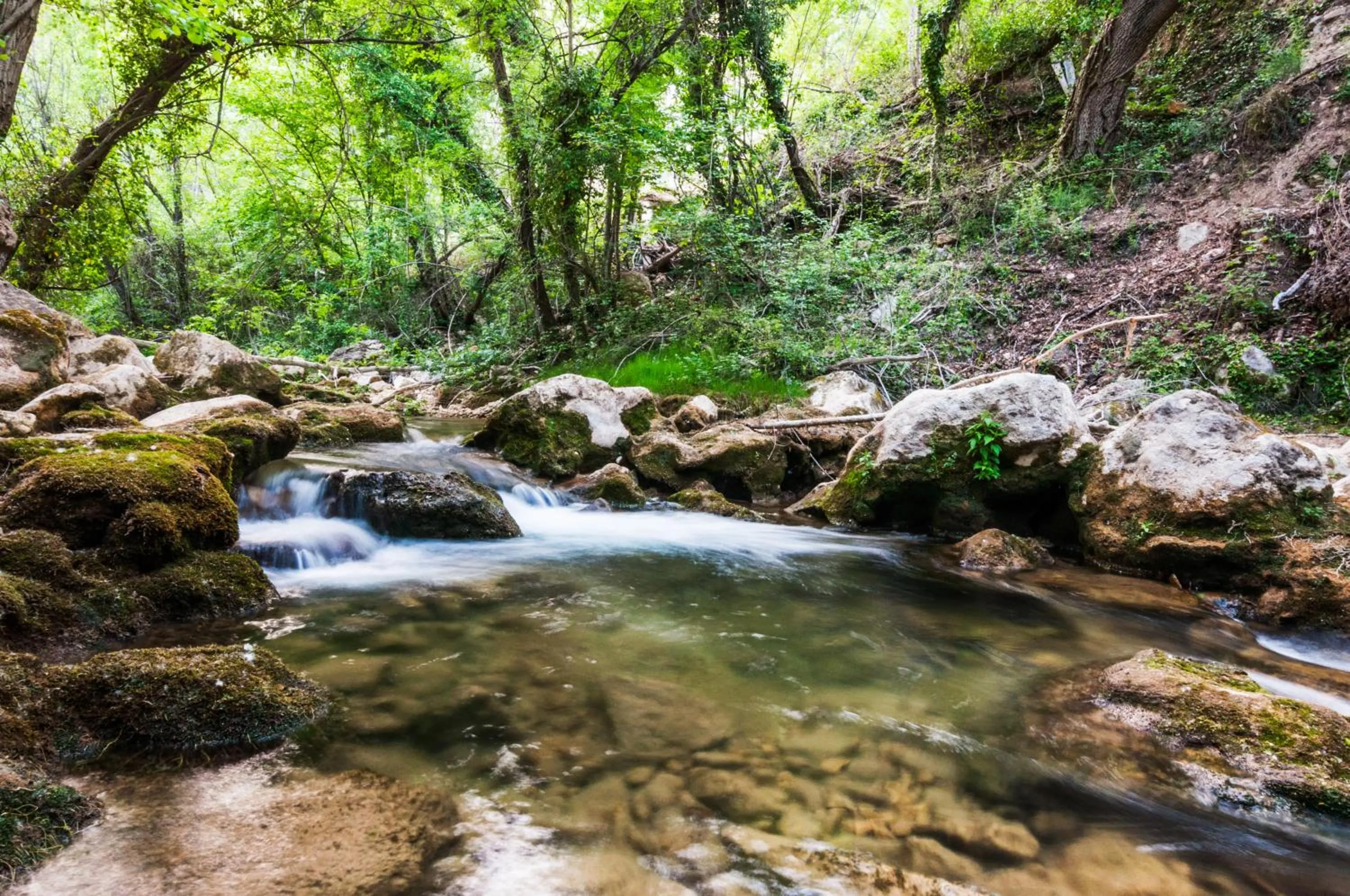 Natural landscape in Hotel de La Trucha