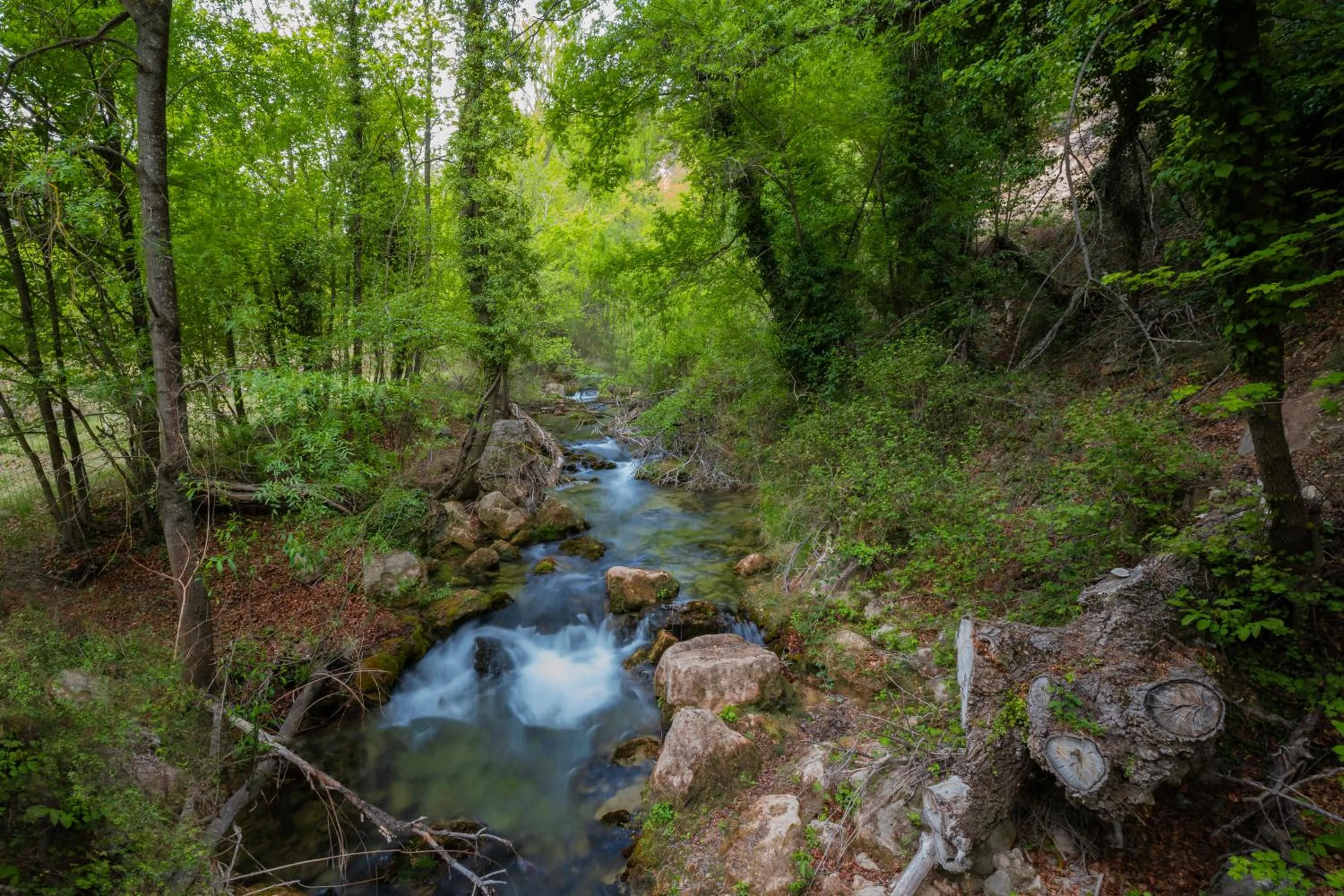 Natural landscape in Hotel de La Trucha