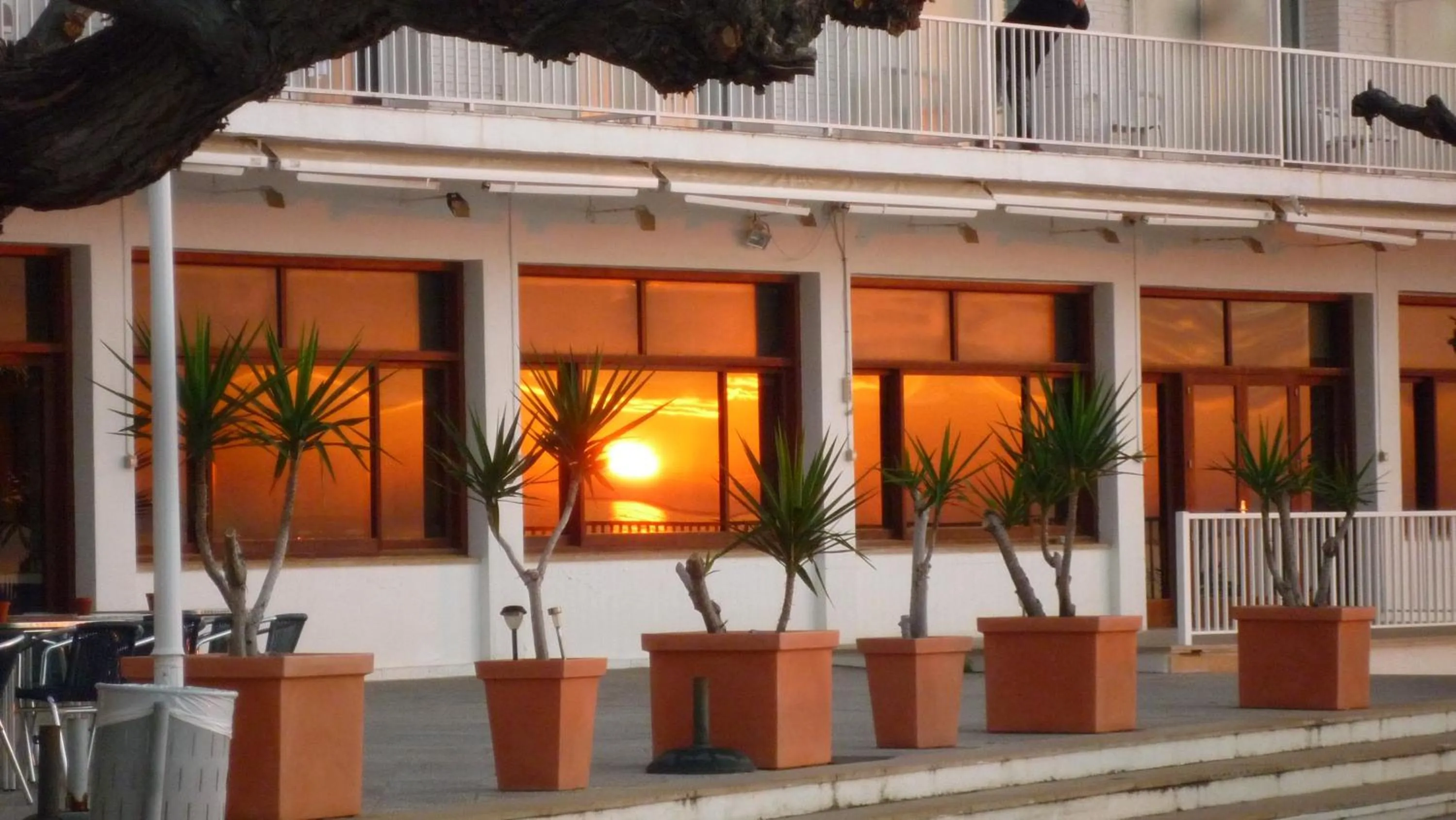 Balcony/Terrace in Carlos III