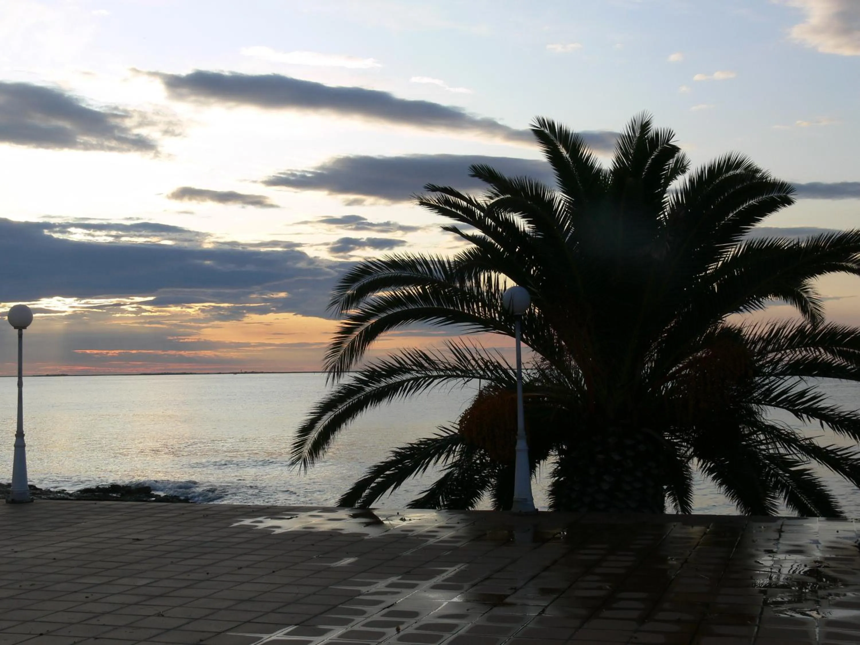 Area and facilities in Carlos III