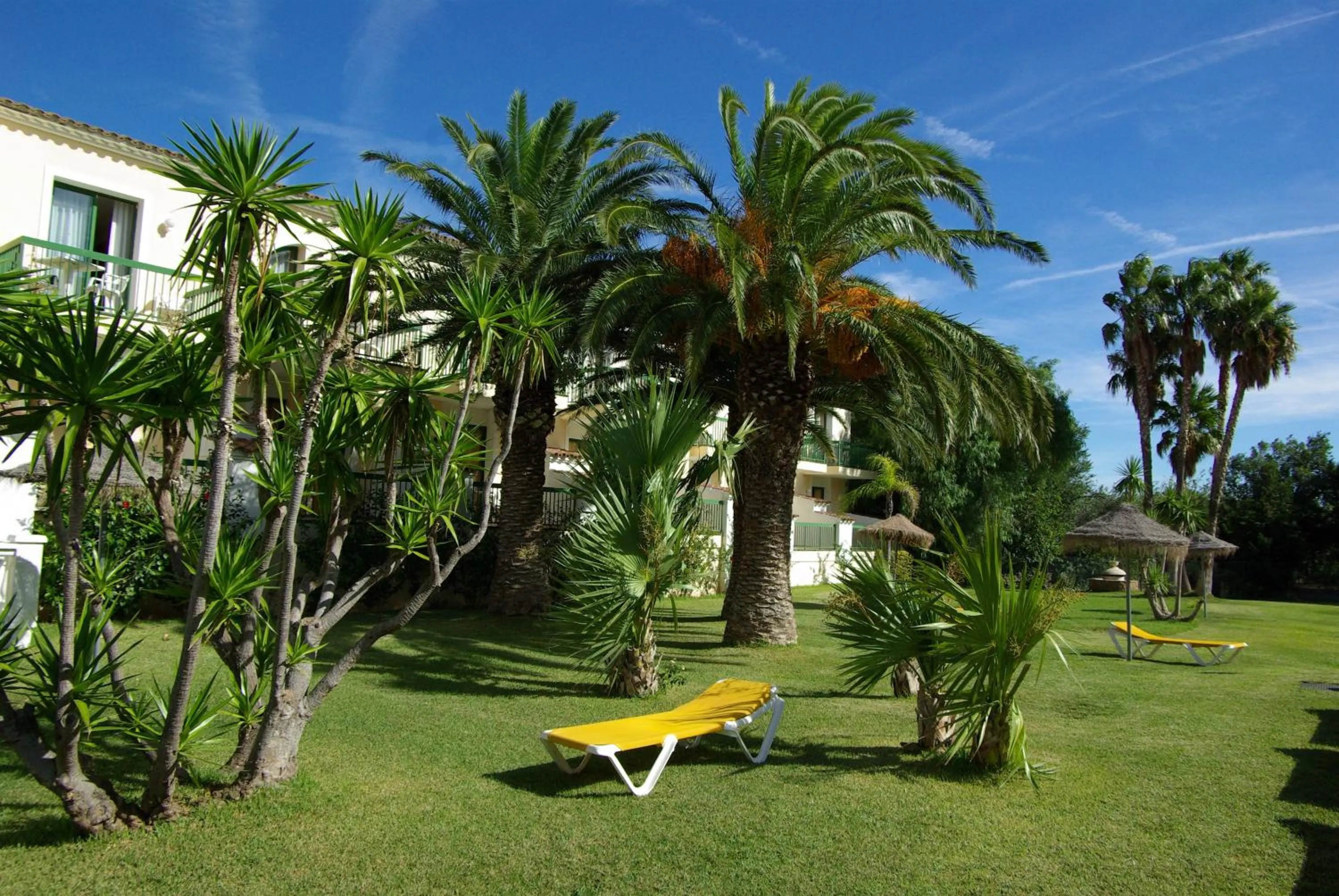 Garden in Hotel Pino Alto by ALEGRIA