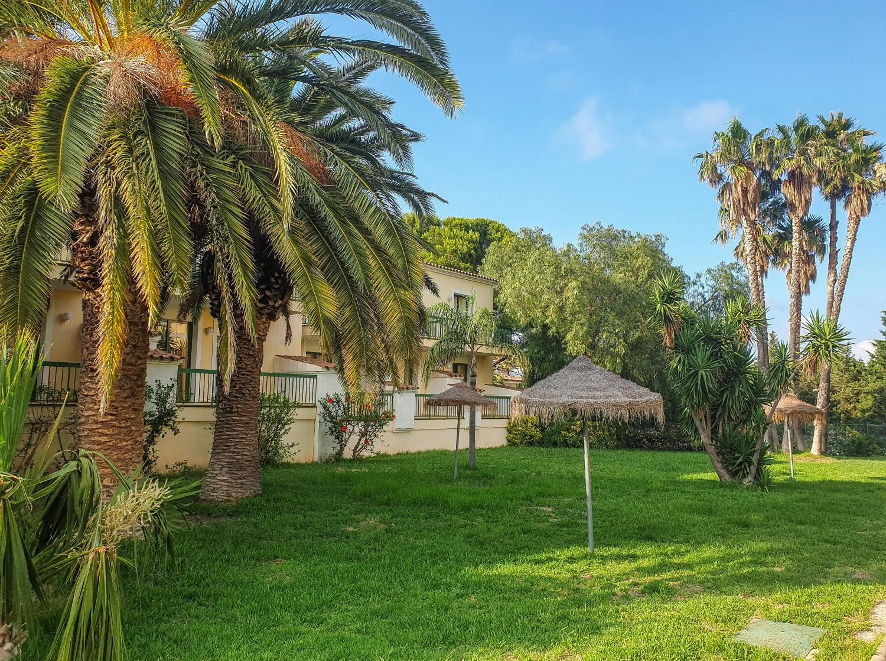 Garden in Hotel Pino Alto by ALEGRIA