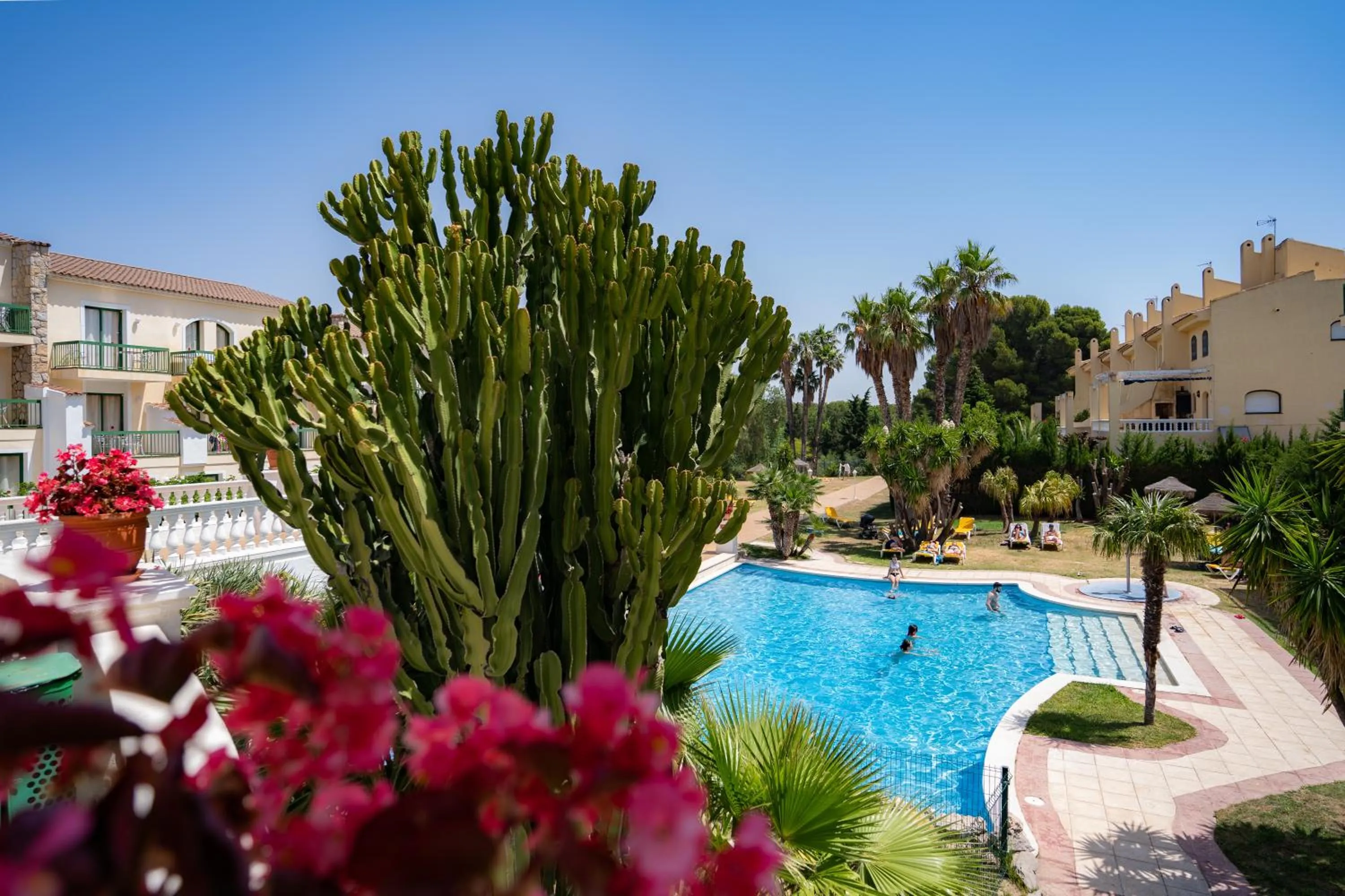 Swimming pool in Hotel Pino Alto by ALEGRIA