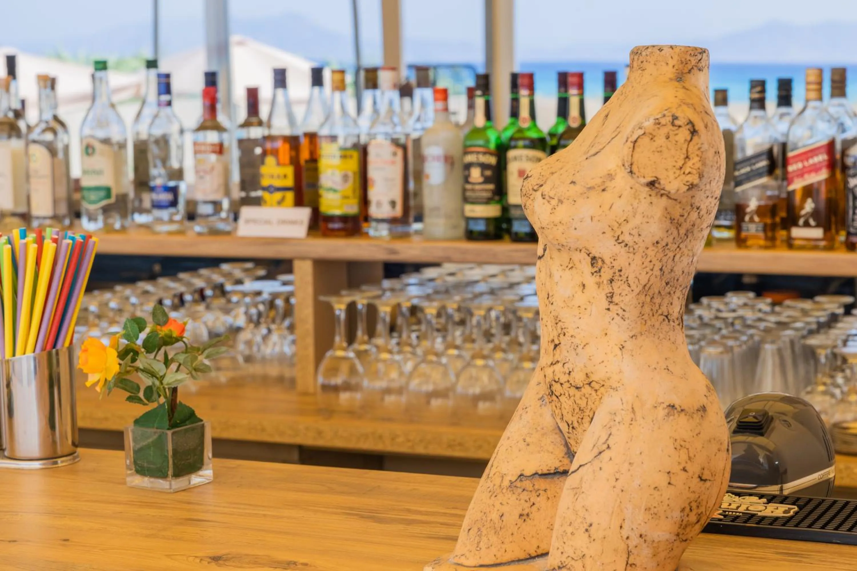 Lounge or bar in Viva Tourismo Resort (naturist club)