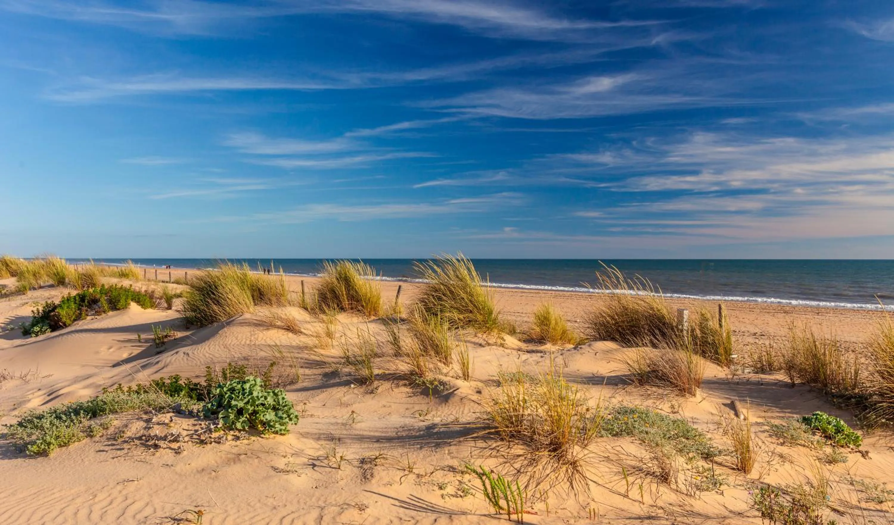 Area and facilities in Barceló Punta Umbría Mar