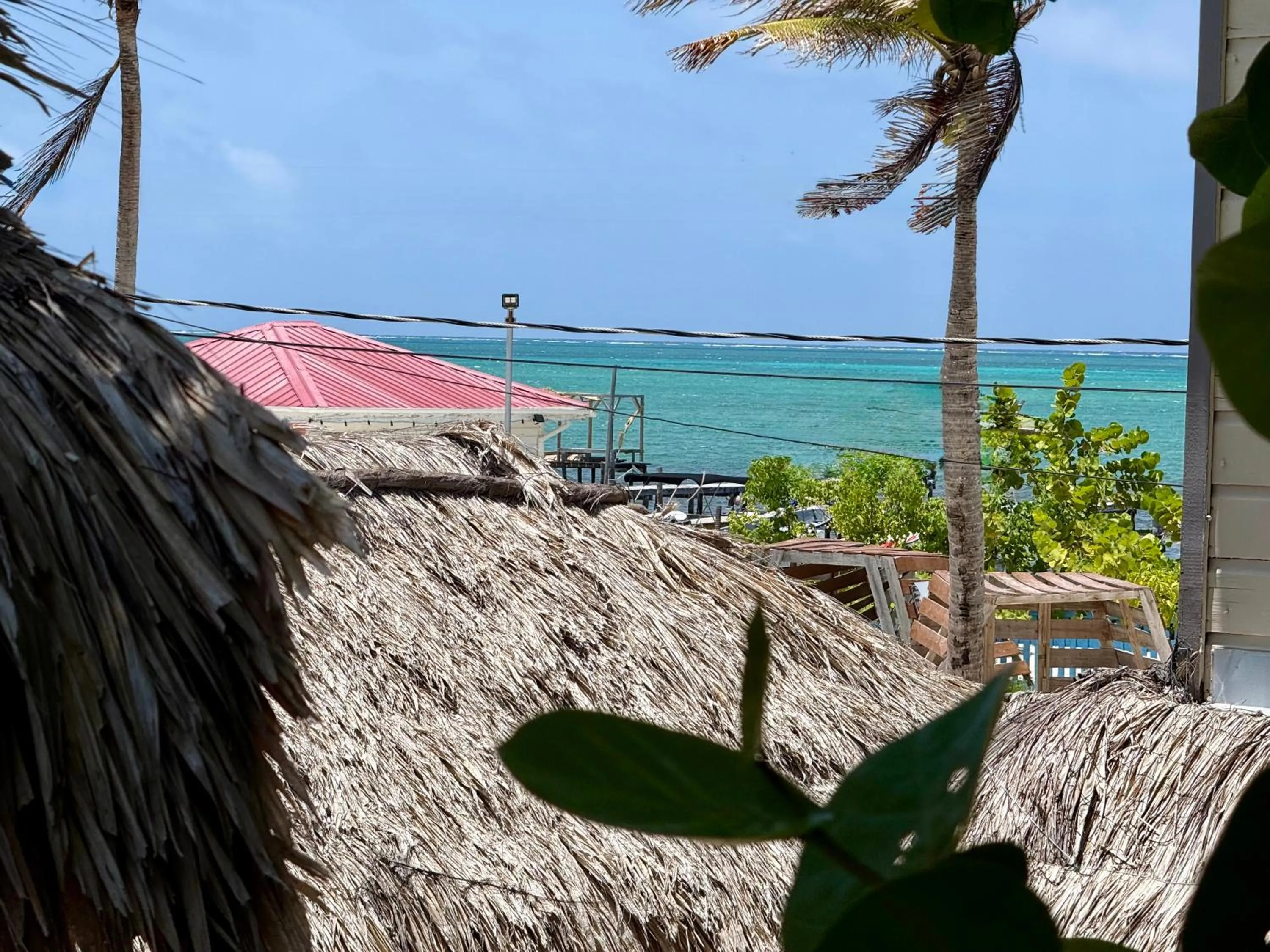 View (from property/room) in The Bounty