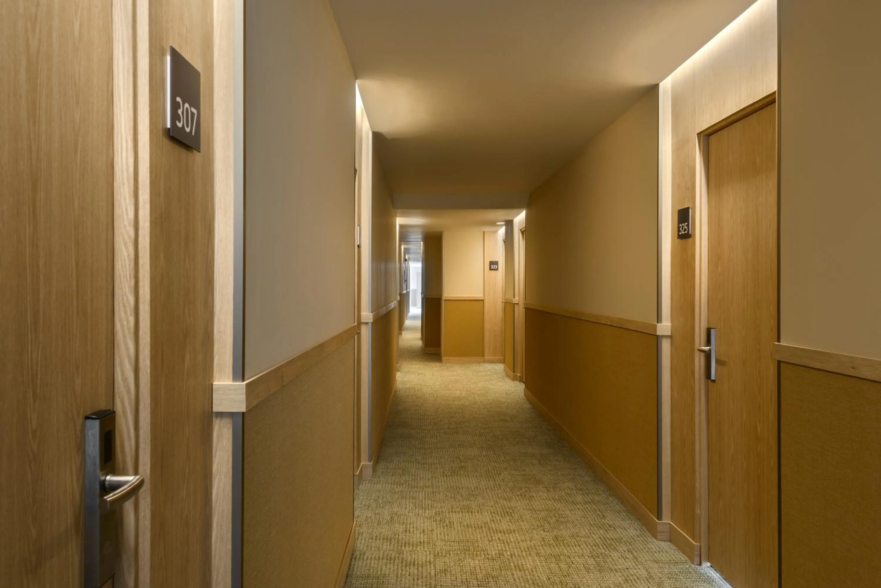 Area and facilities in Barceló Illetas Albatros - Adults Only