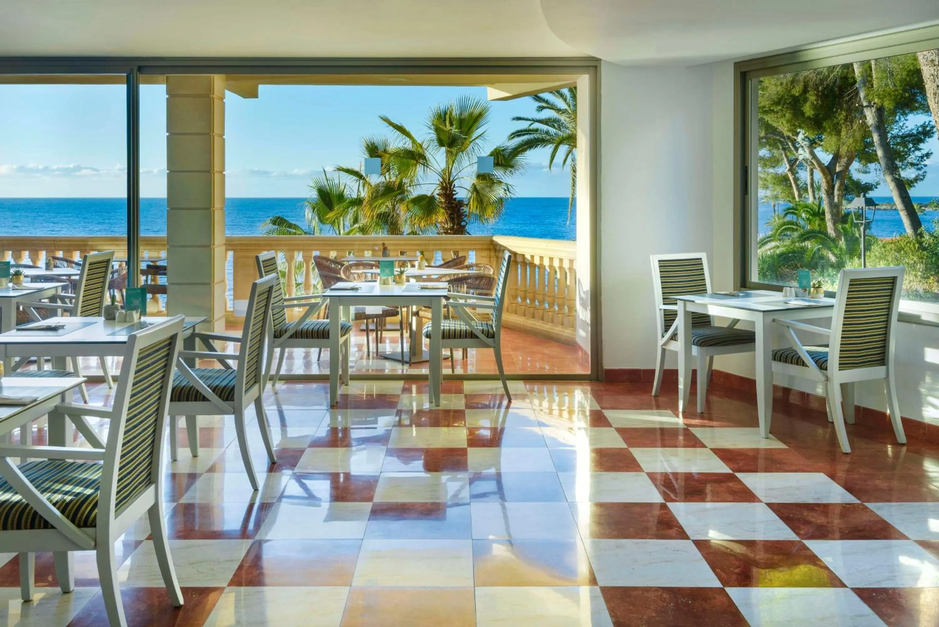 Restaurant/places to eat in Barceló Illetas Albatros - Adults Only