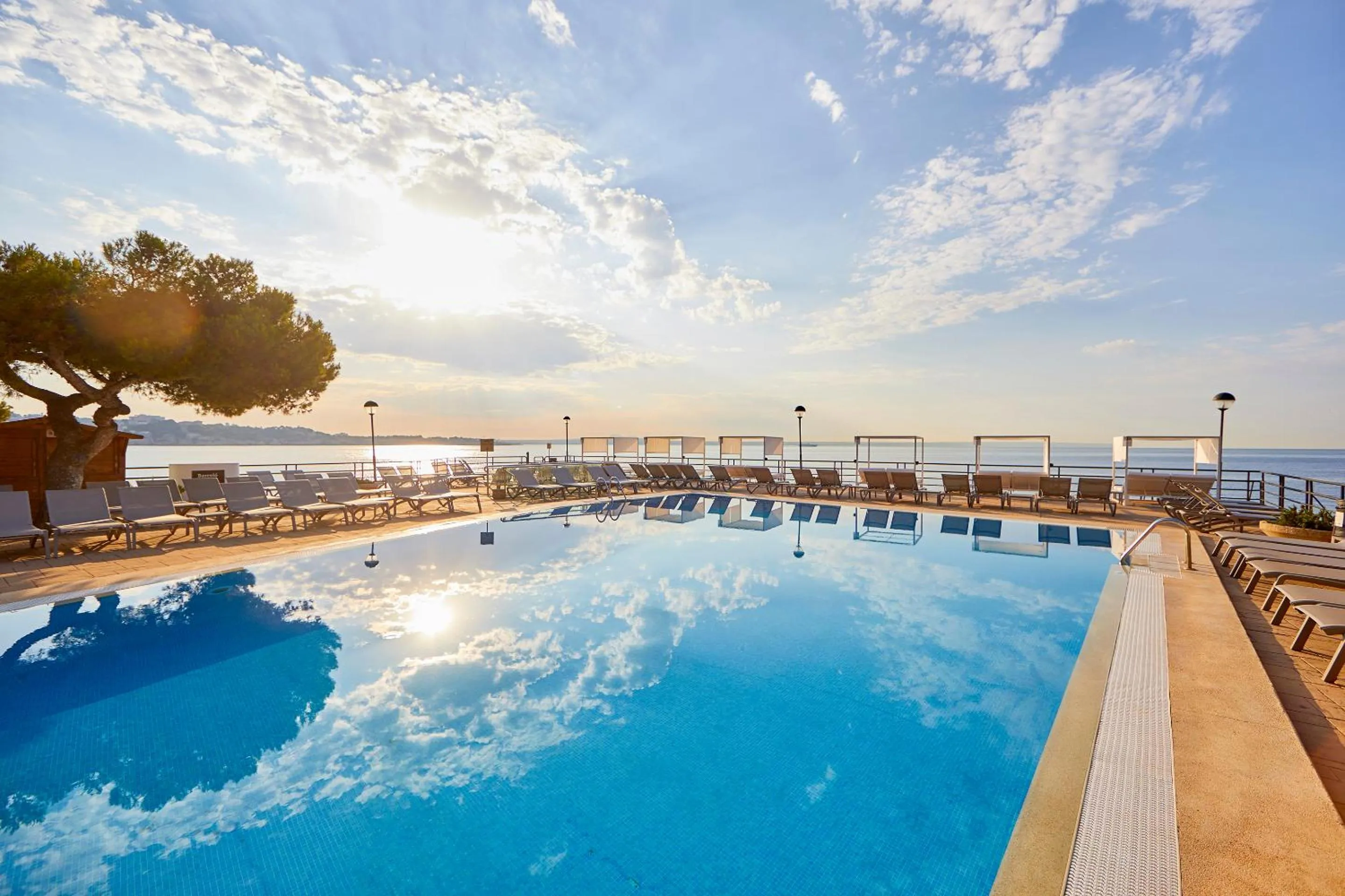 Swimming pool in Barceló Illetas Albatros - Adults Only