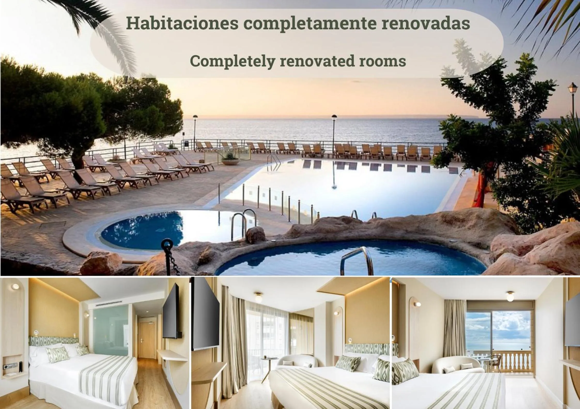 Photo of the whole room, Bed in Barceló Illetas Albatros - Adults Only